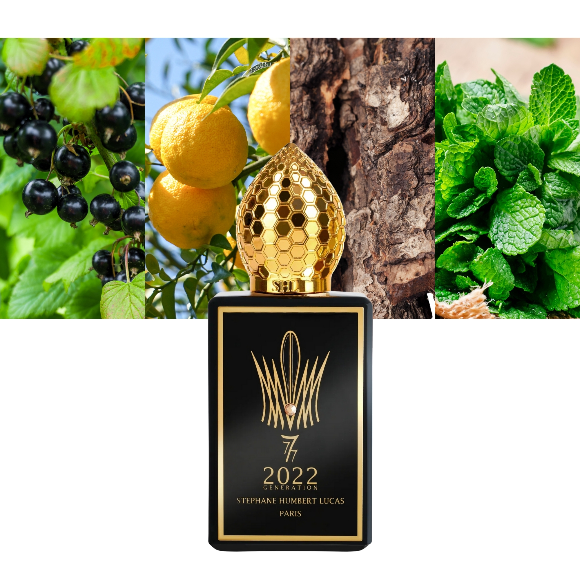 2022 Generation Black