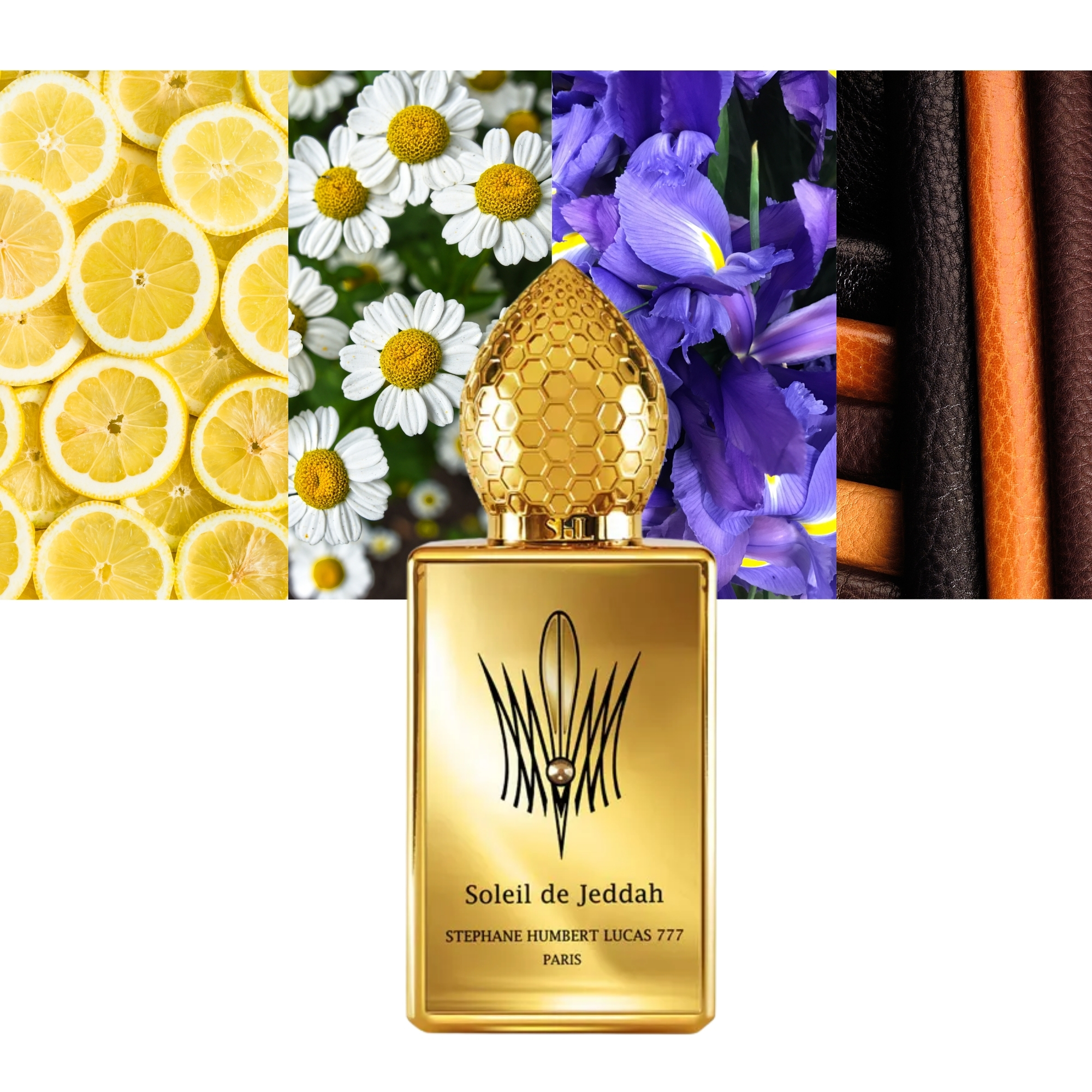 Soleil De Jeddah L Original