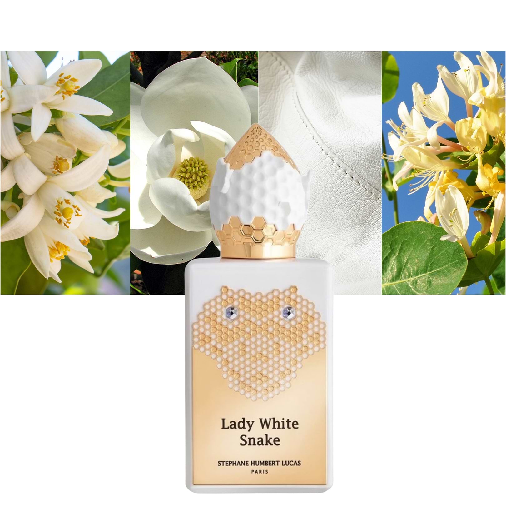 Lady White Snake