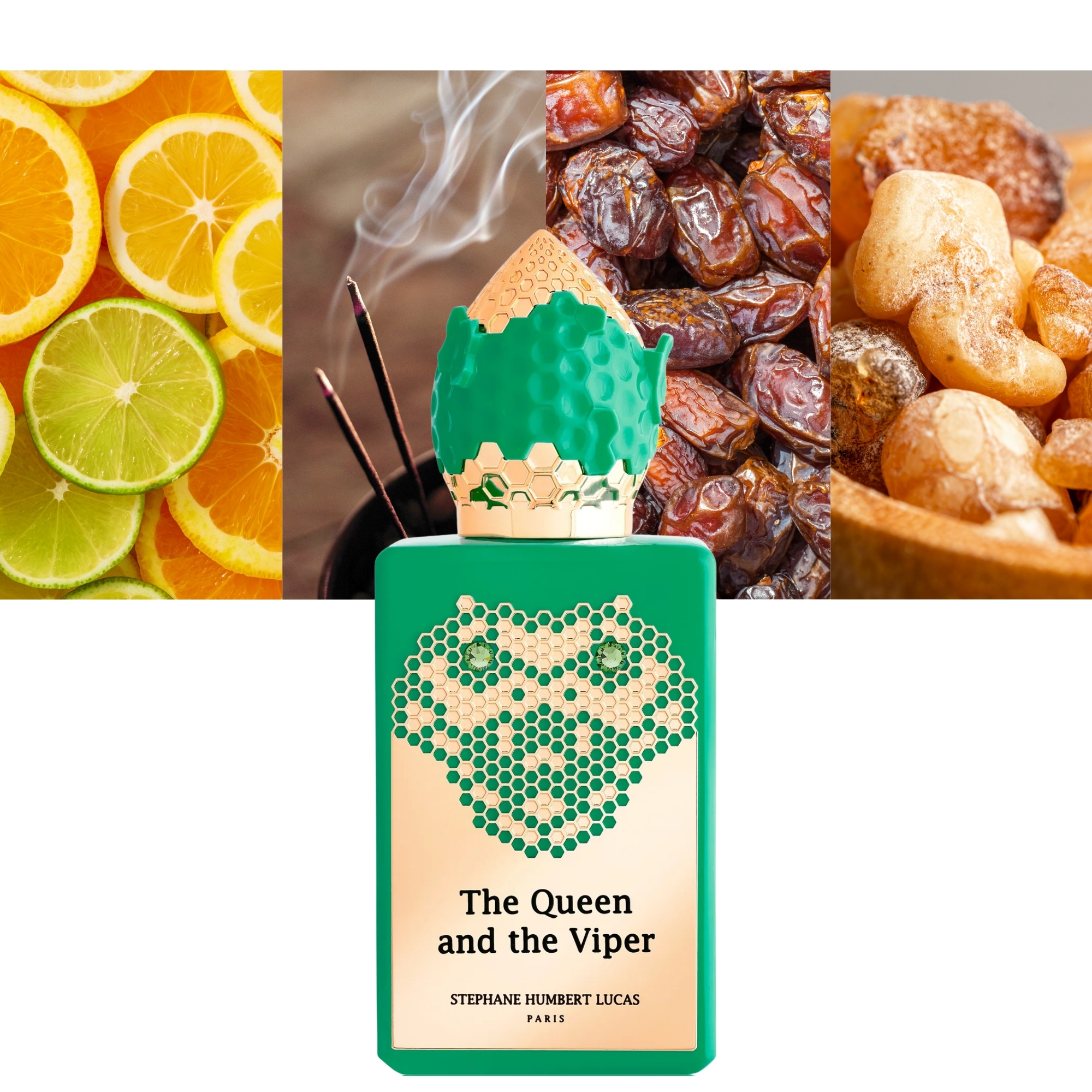 The Queen and the Viper