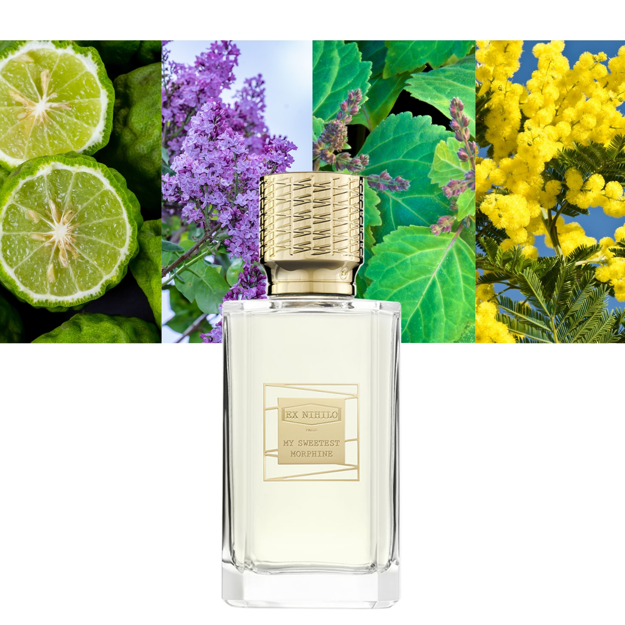 My Sweetest Morphine