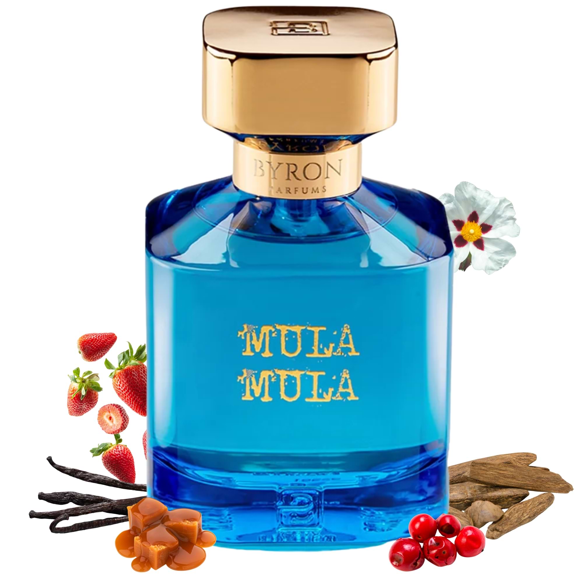 Mula Mula Narcotic