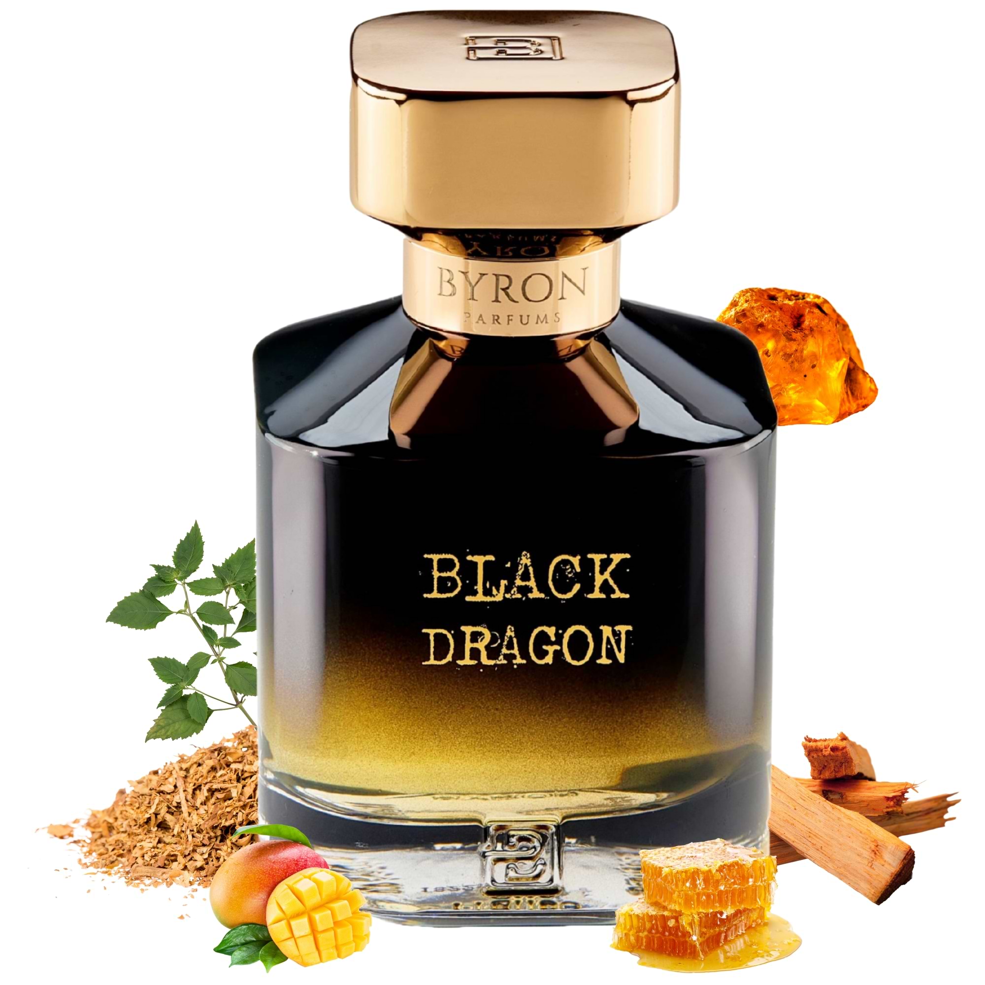 Black Dragon