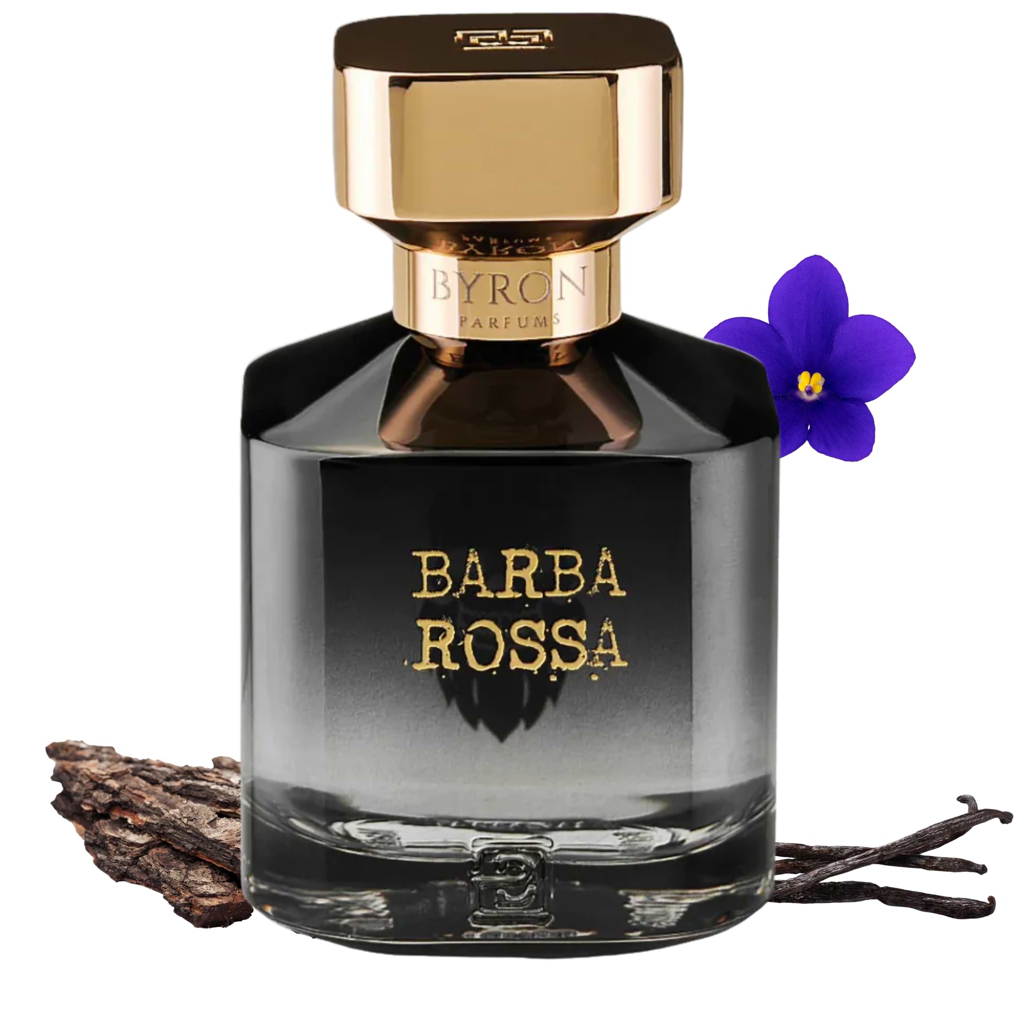 Barba Rossa