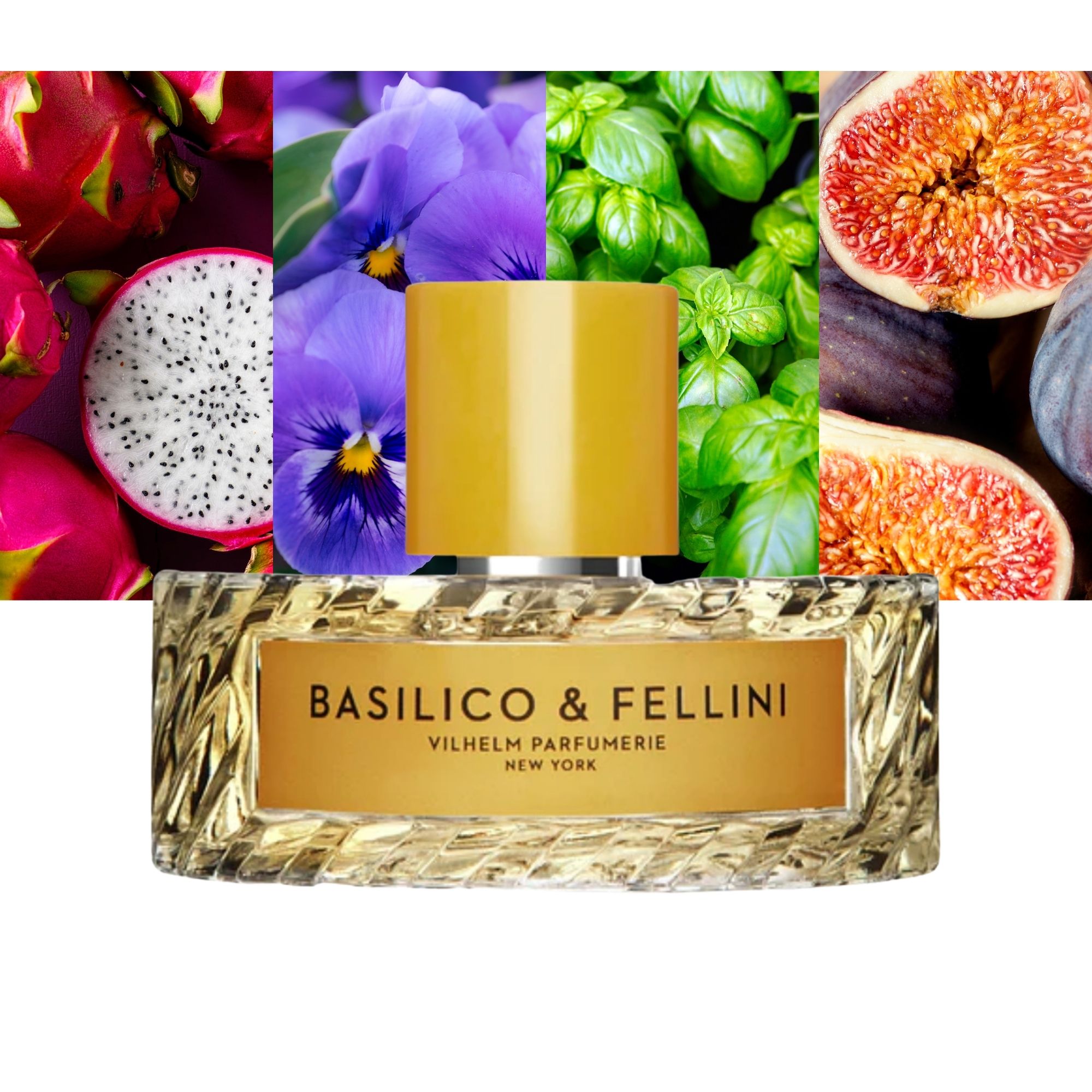 Basilico and Fellini