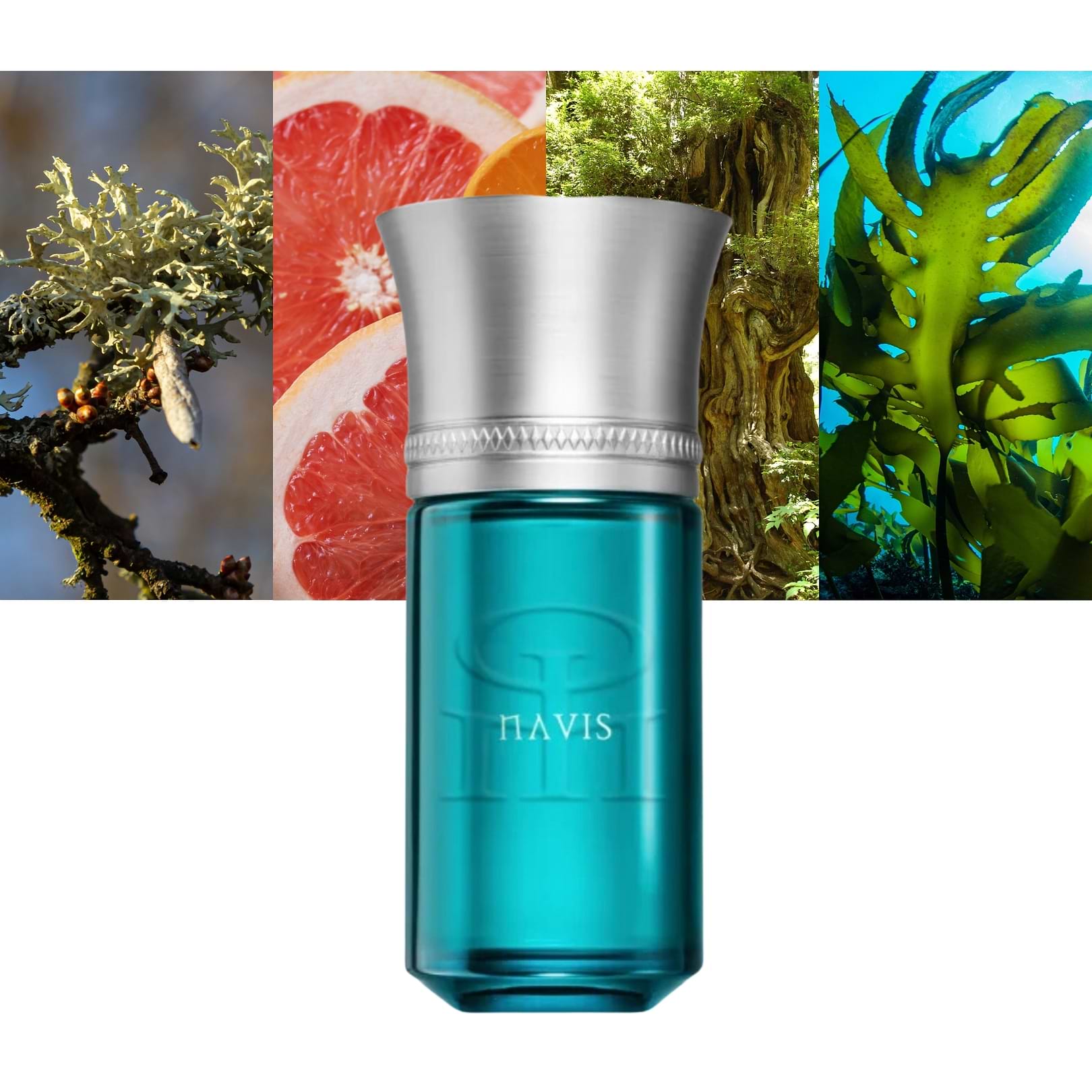 Liquid Navas liquides Imaginaires Navis-Free 2Days Shipping & Return-MaxAroma