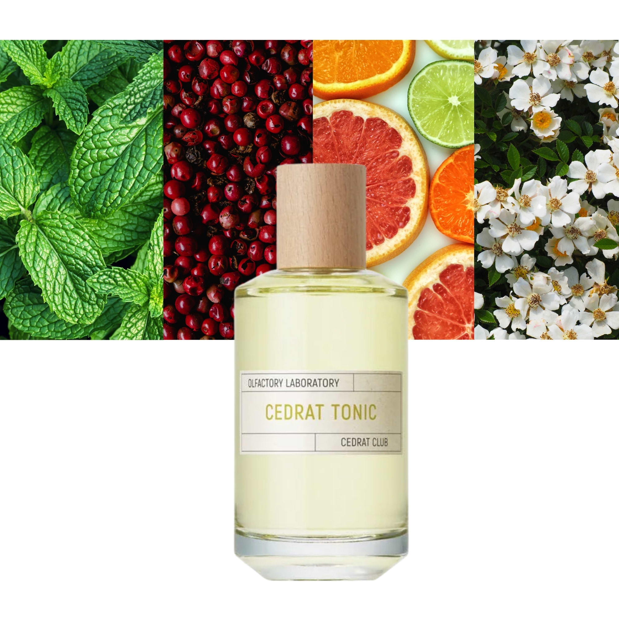 Cedrat Tonic