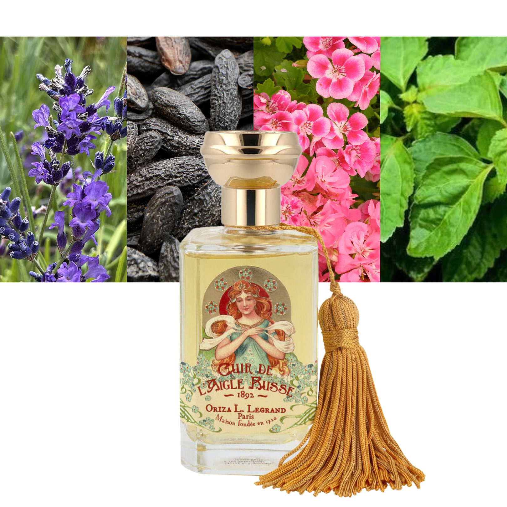 Cuir de L ´Aigle Russe
