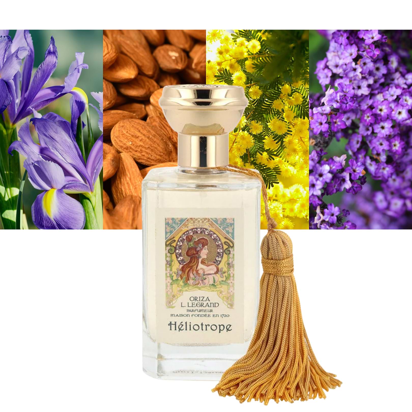 Heliotrope 