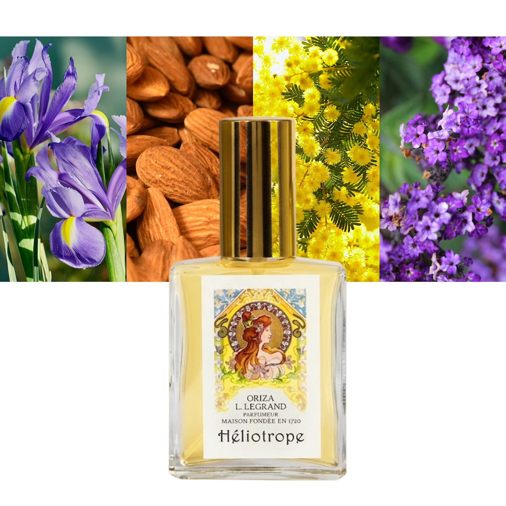 Heliotrope 