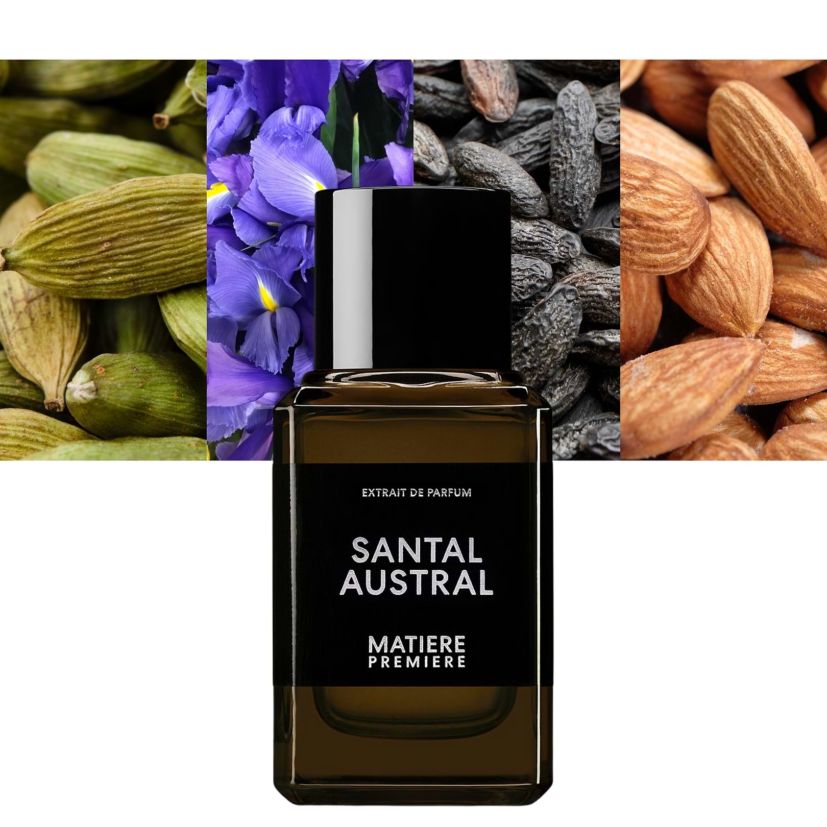 Santal Austral