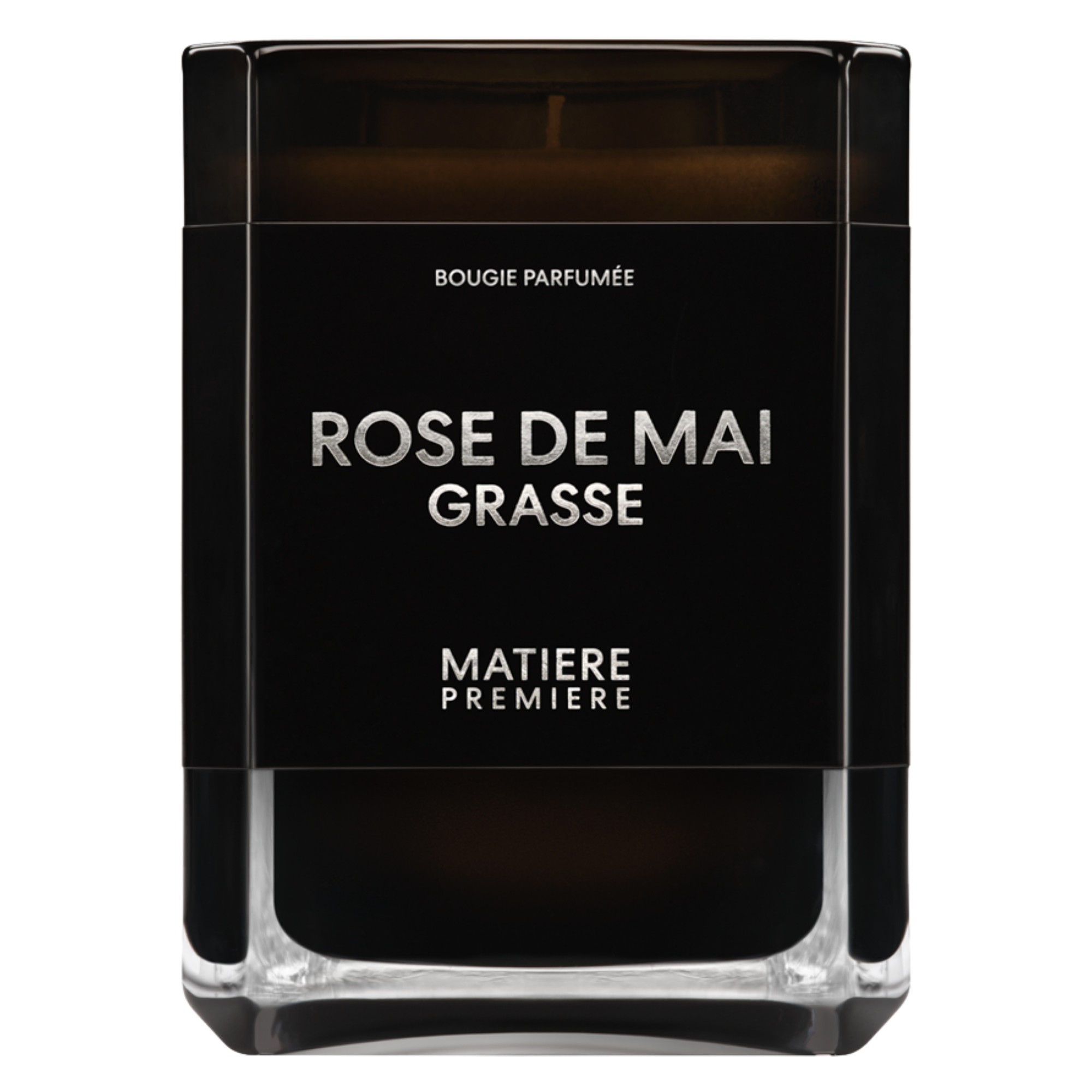 Rose de Mai Grasse