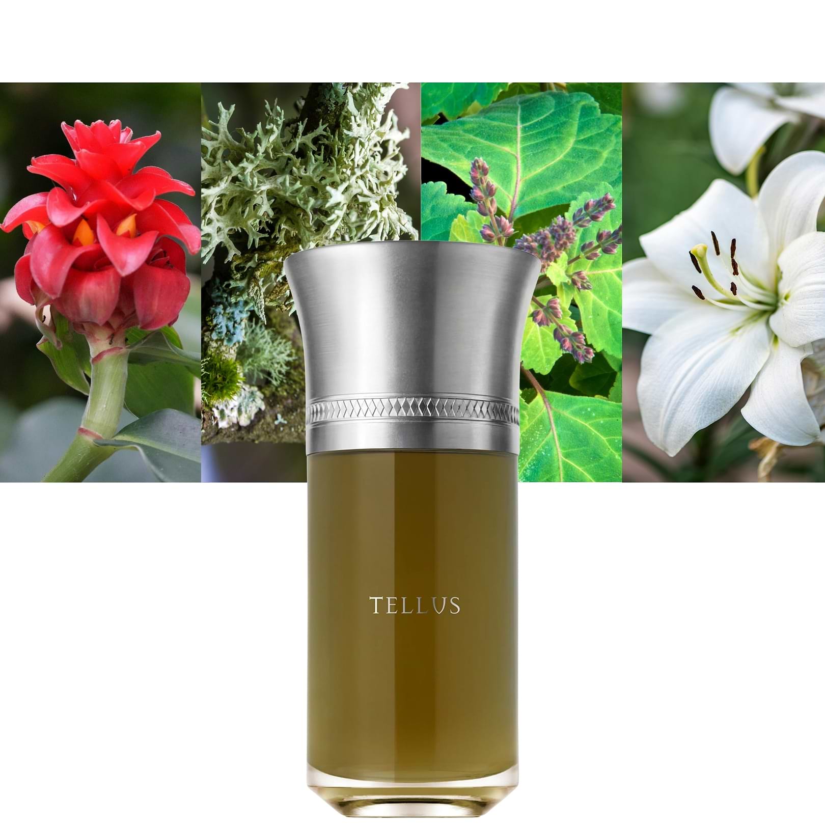 Liquides Imaginaires Tellus Unisex Earthy Patchouli EDP 100ml