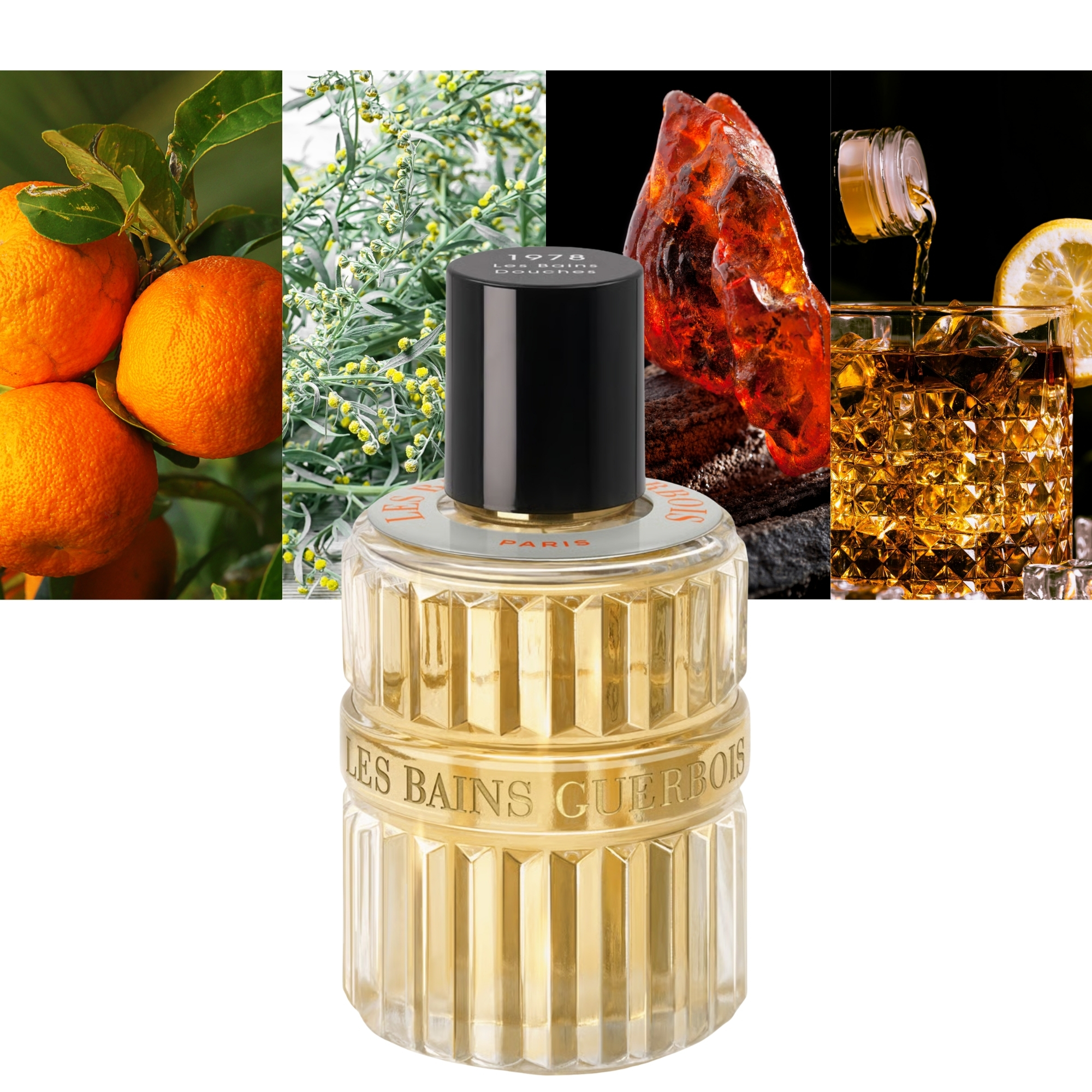 1978 Les Bains Douches