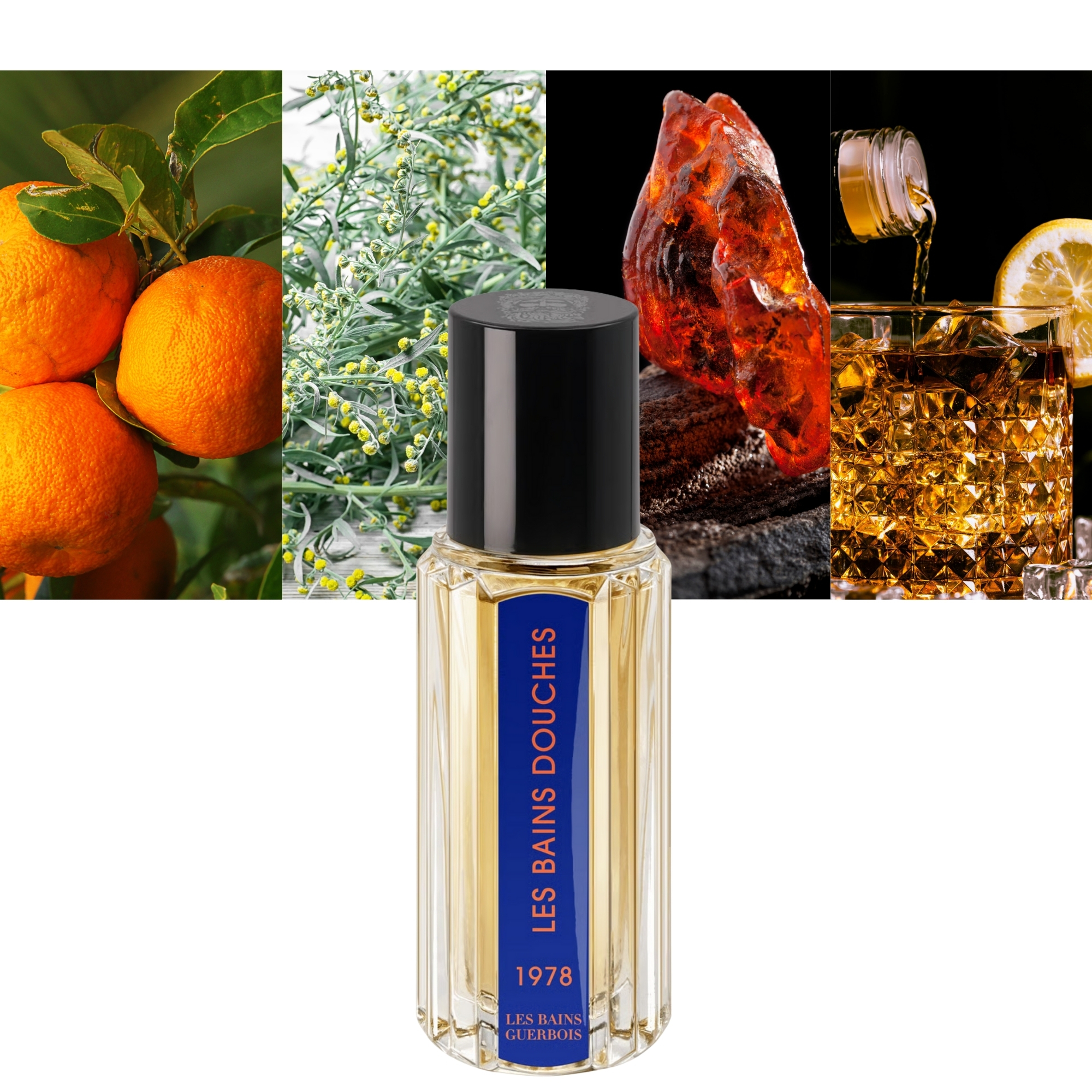 1978 Les Bains Douches