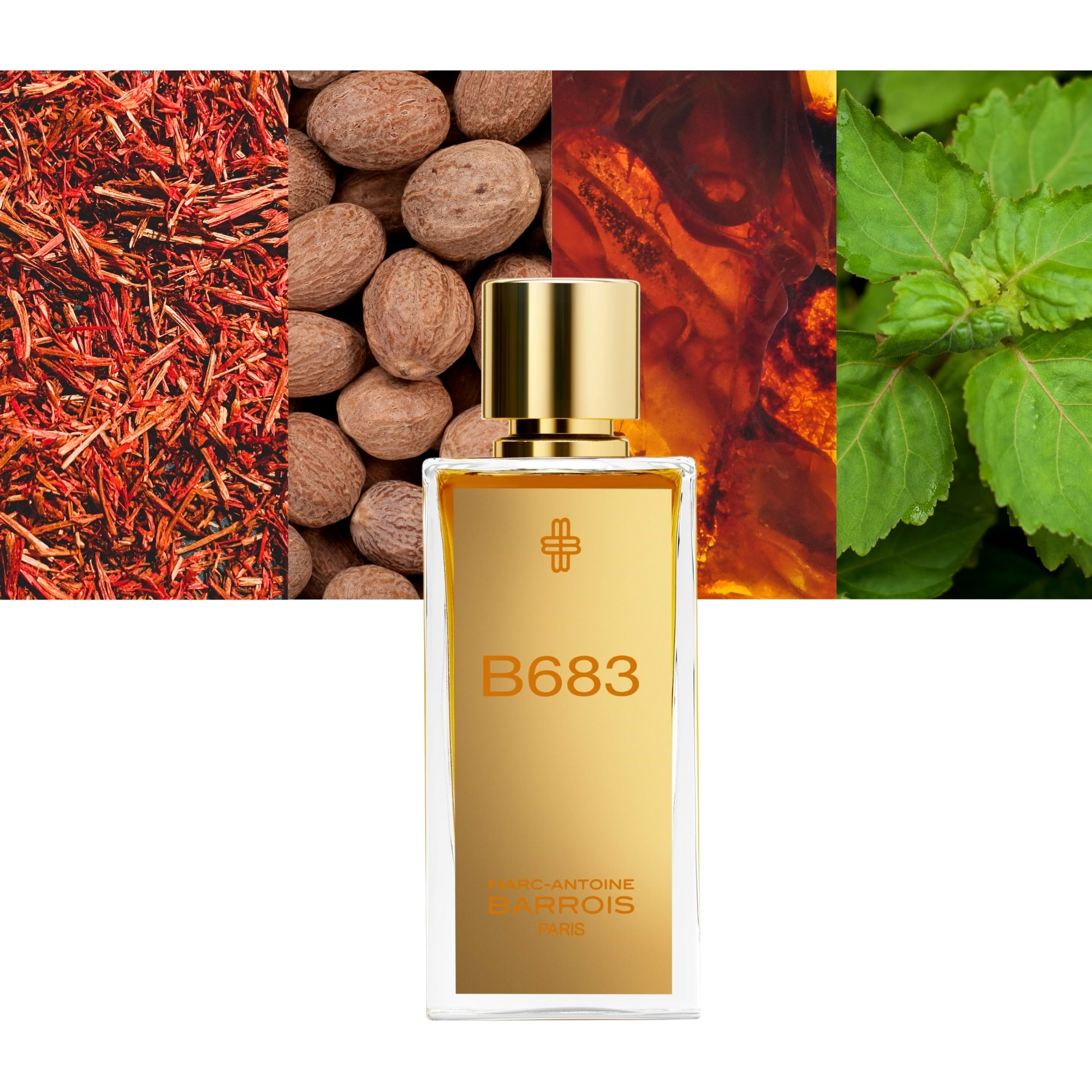 Step into a World of Luxury with Marc-Antoine Barrois B683