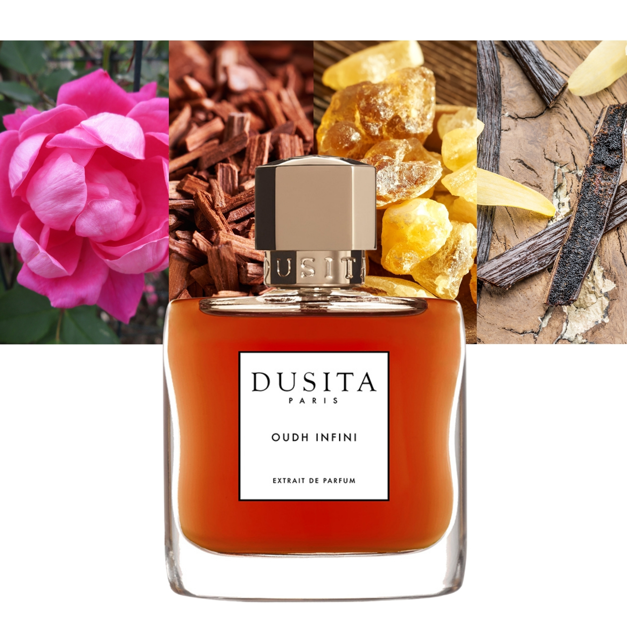 Oudh Infini