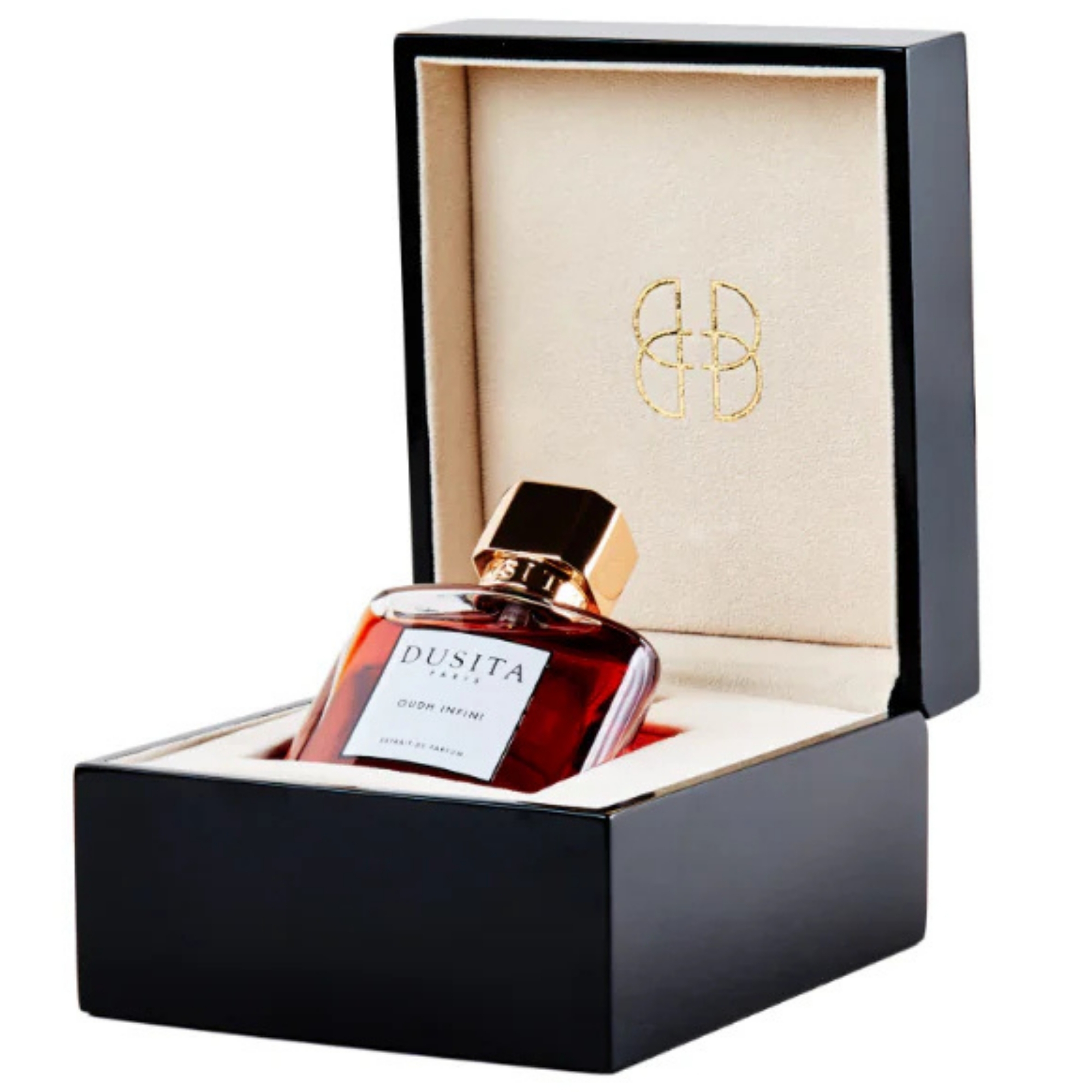 Oudh Infini