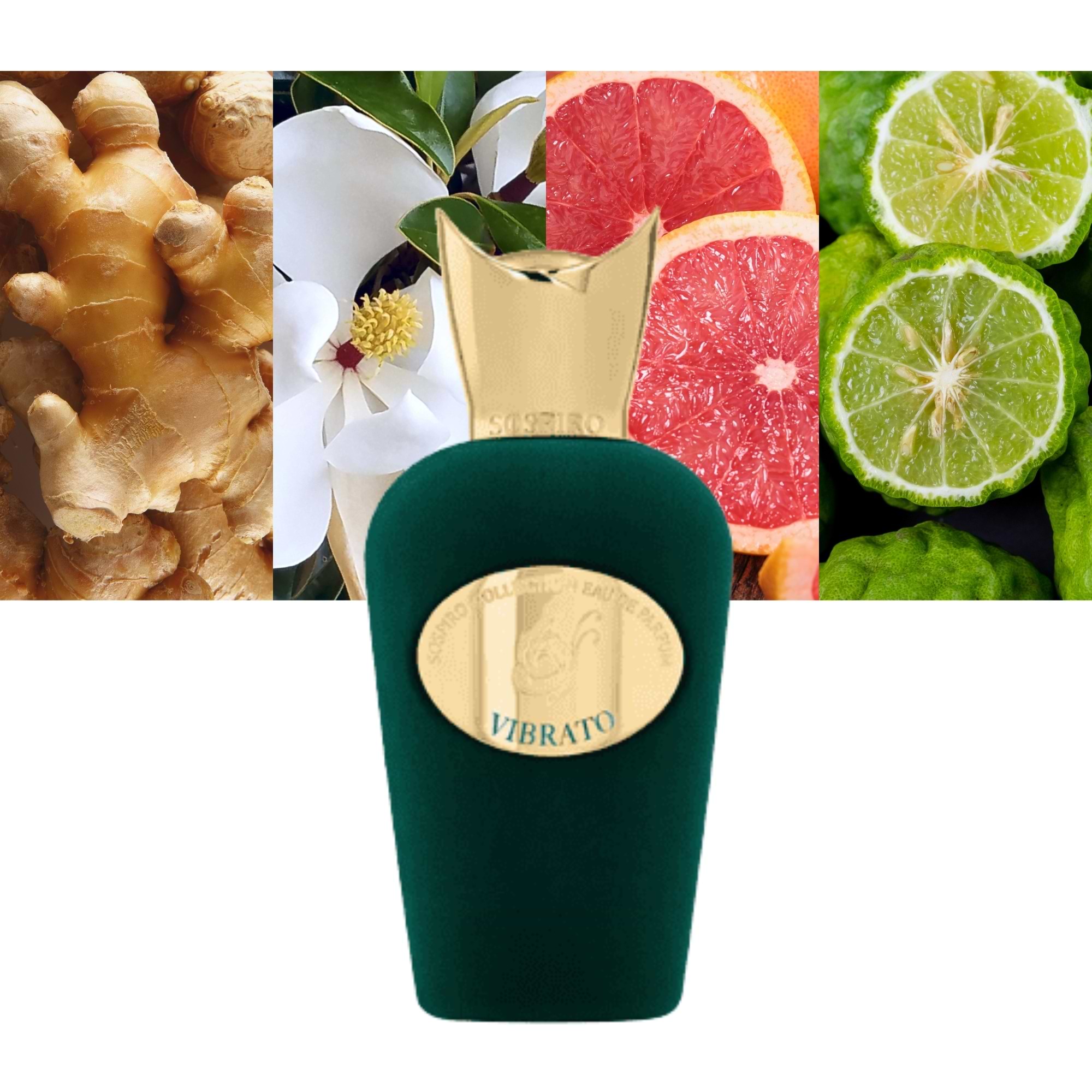 香水(男性用) SOSPIRO Vibrato 100ml Eau de Parfum Amazon.com : Vibrato : Beauty & Personal Care