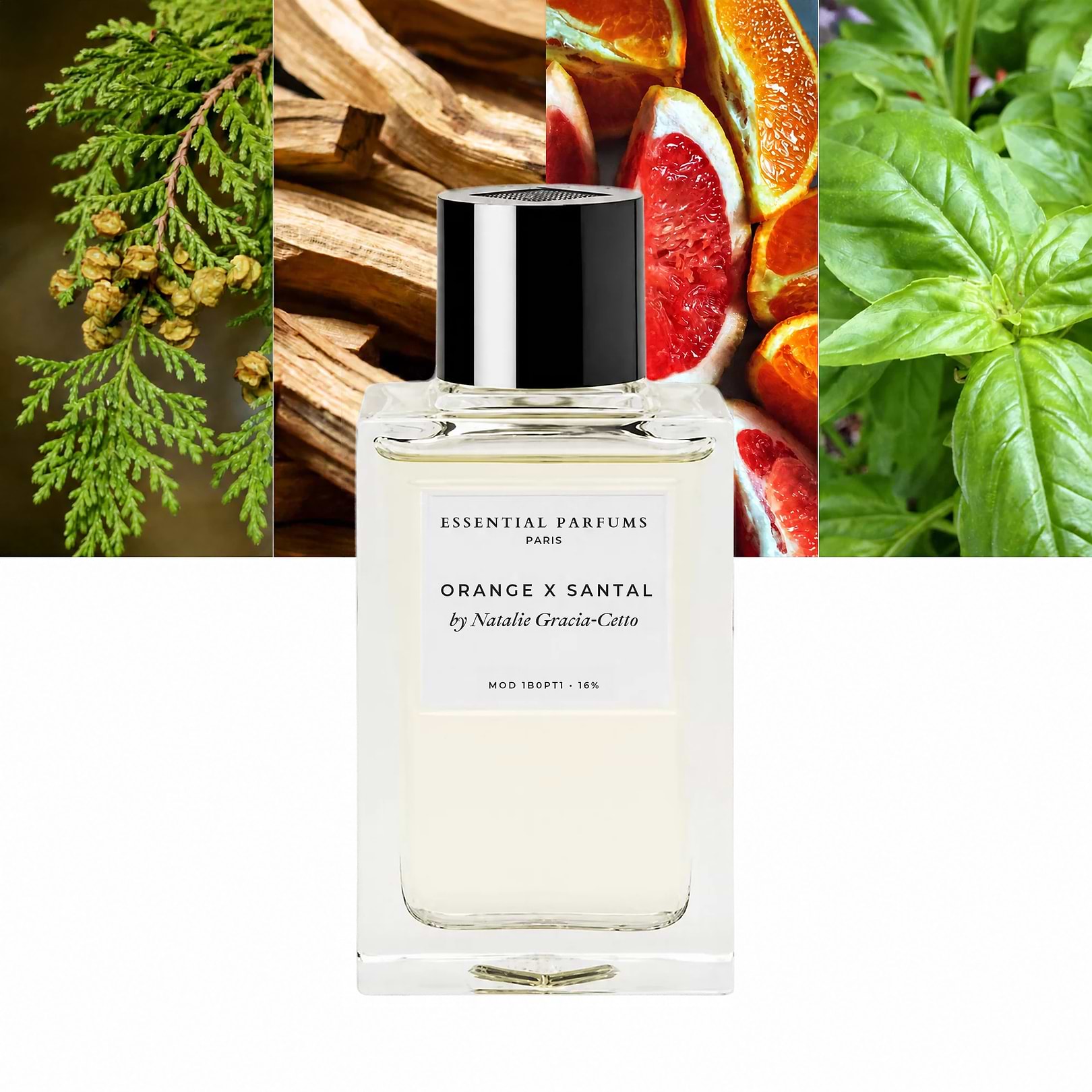 Orange X Santal