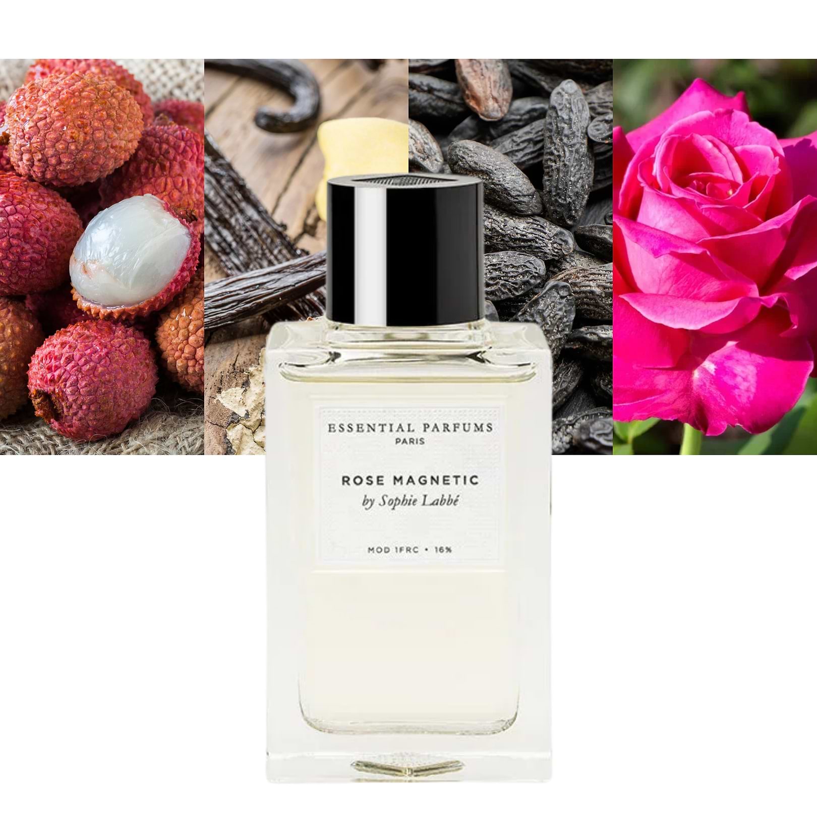 Scented Roses Vs Standard Roses Essential Parfums Rose Magnetic EDP 100ml