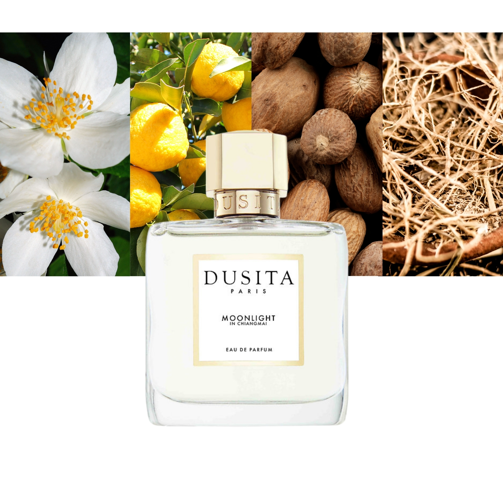 Moonlight in Chiangmai