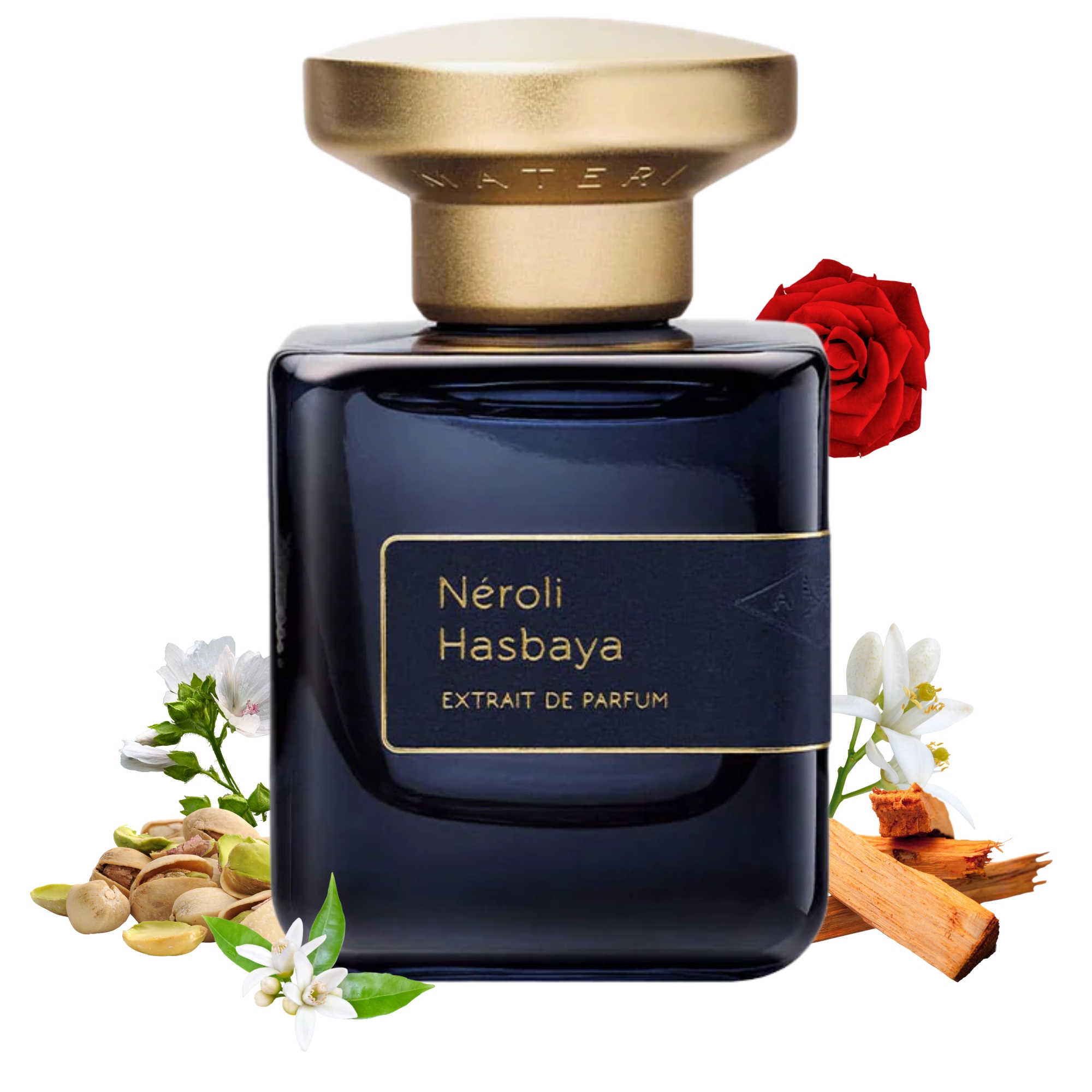 Neroli Hasbaya