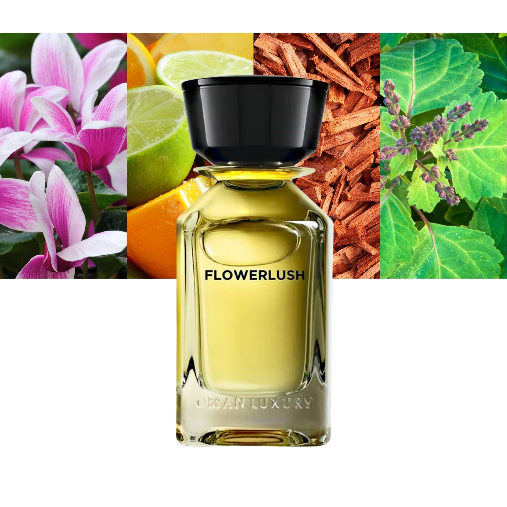 Omanluxury Flowerlush-Pure All In One Bottle - Main Image