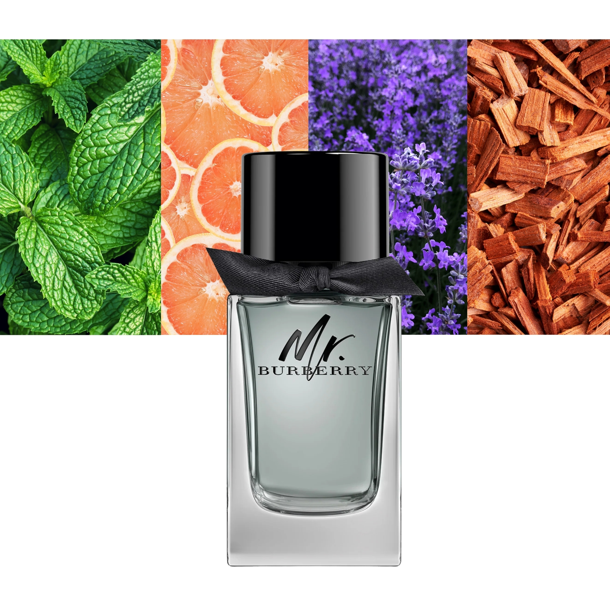 Mr. Burberry