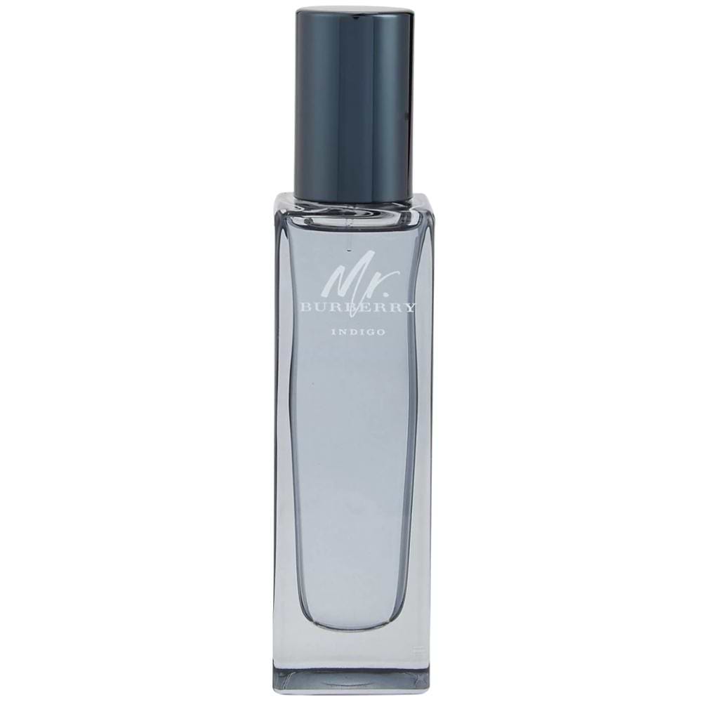 burberry mr burberry indigo edt