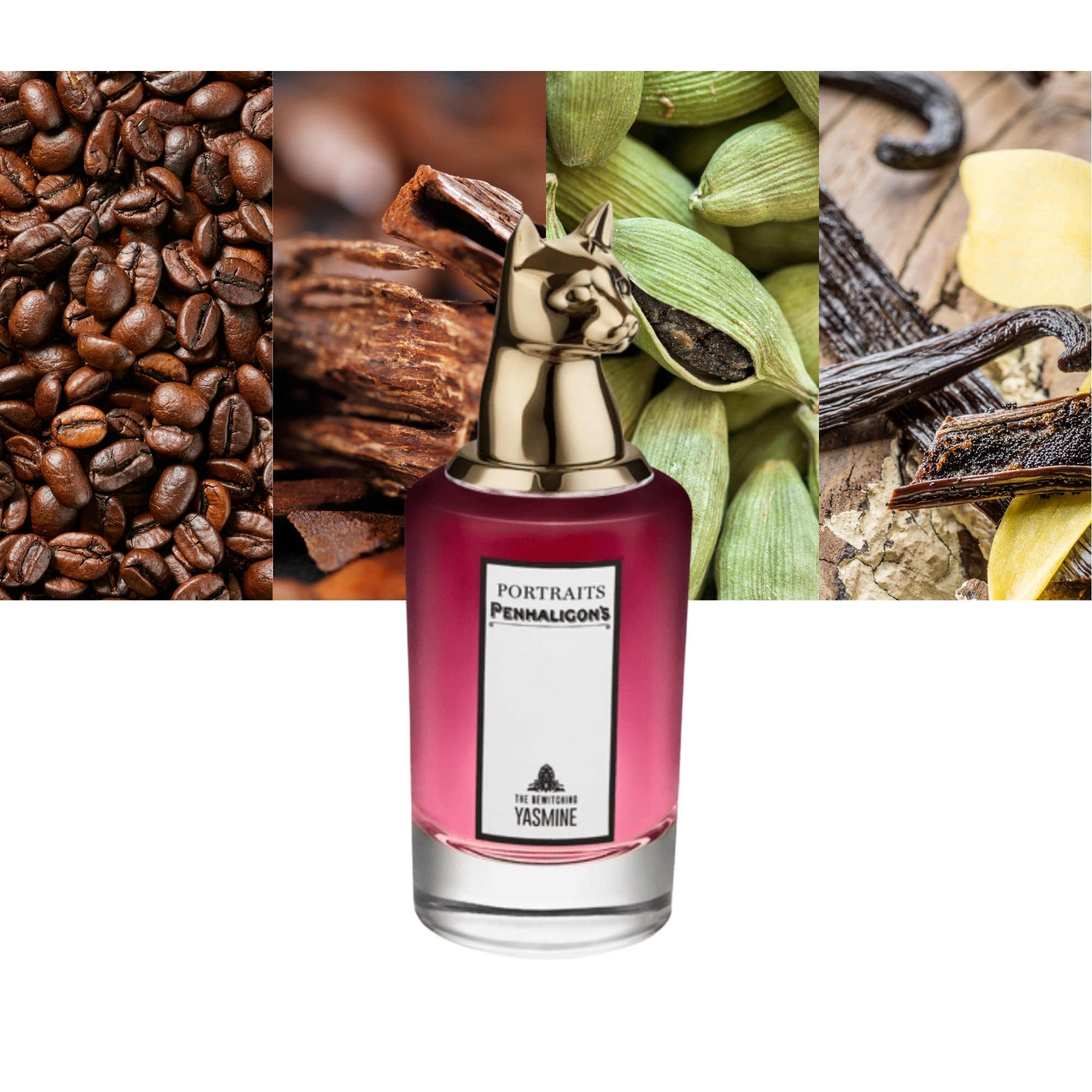 The Bewitching Yasmine