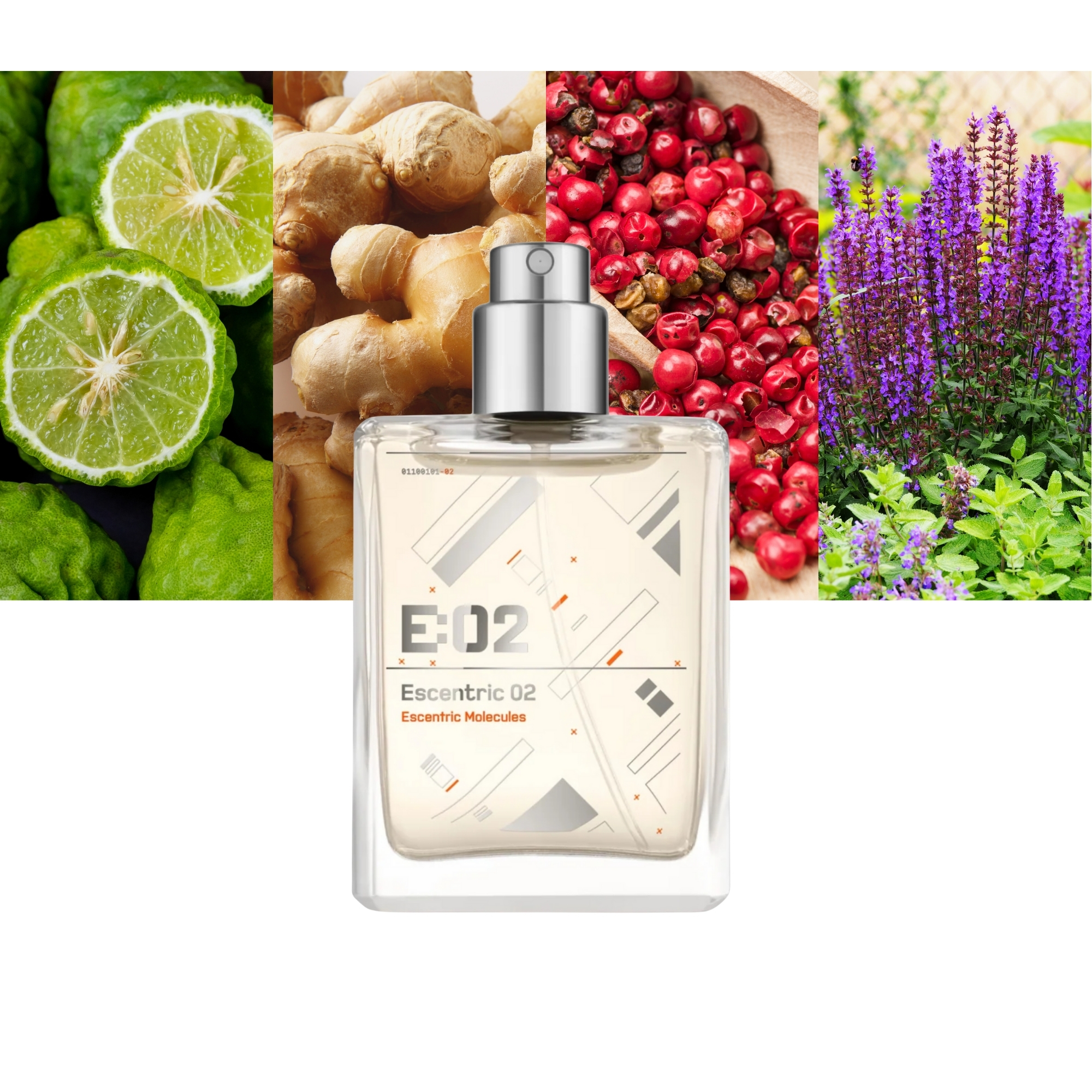 Escentric 02
