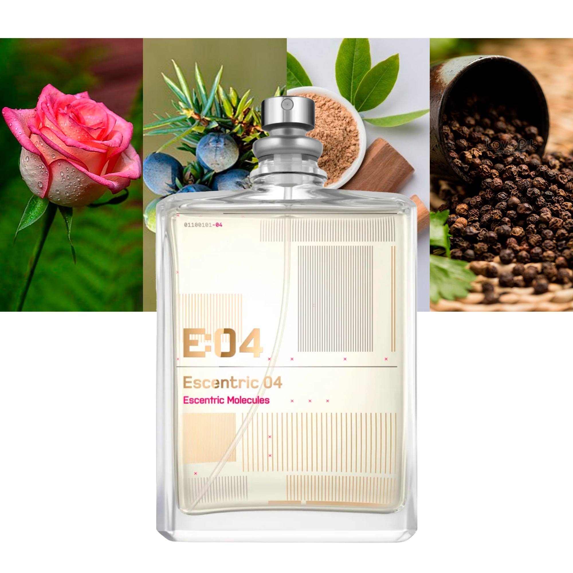 Escentric 04