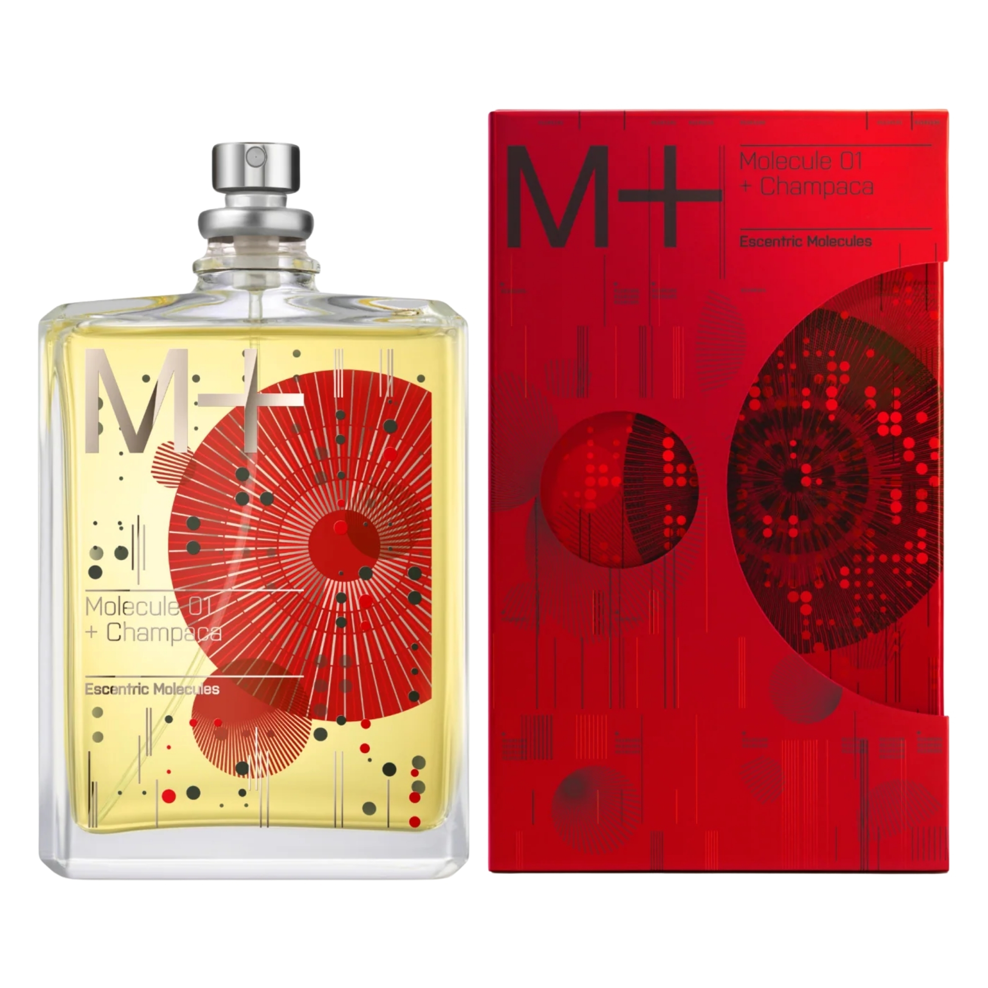 Molecule 01 Champaca