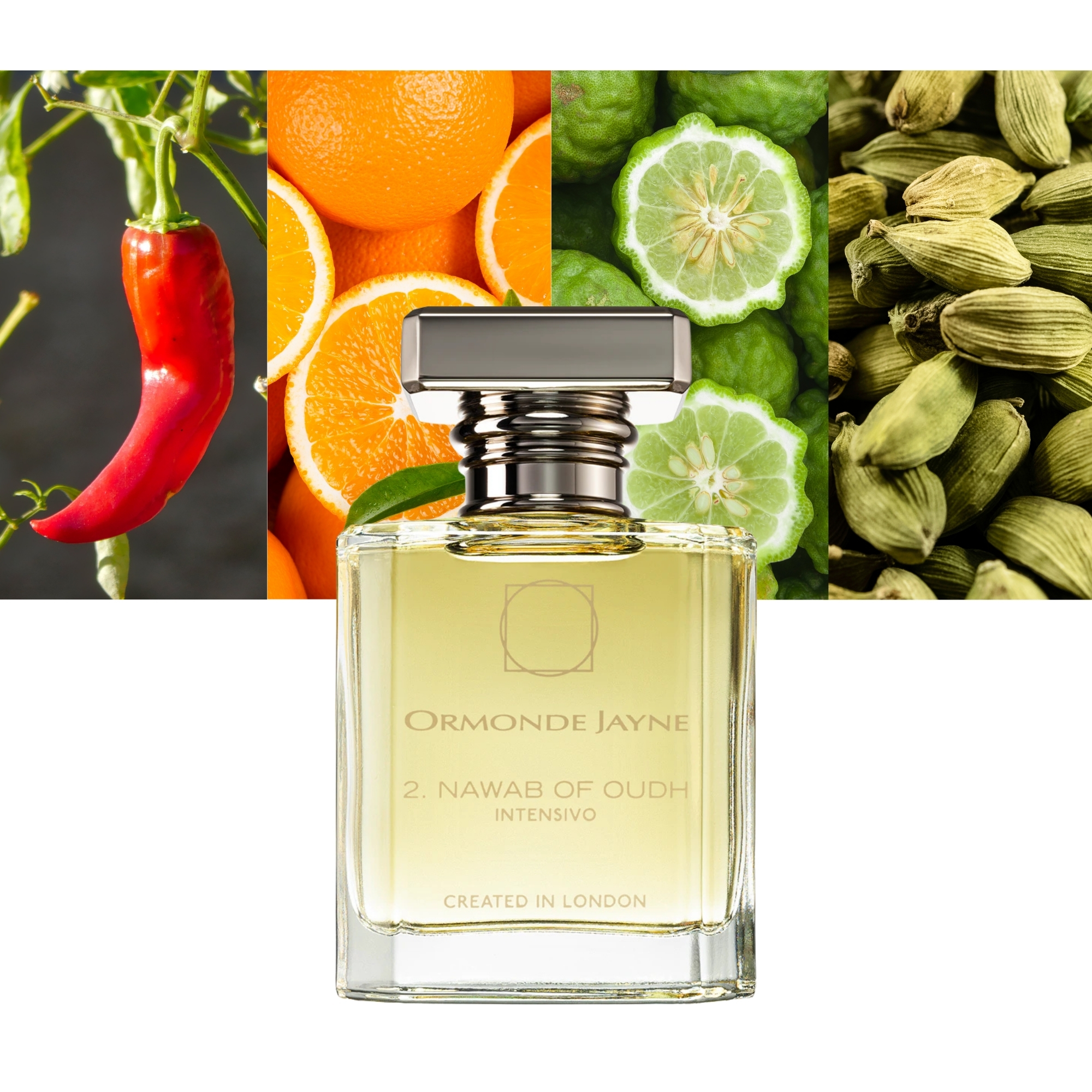 Nawab of Oudh Intensivo