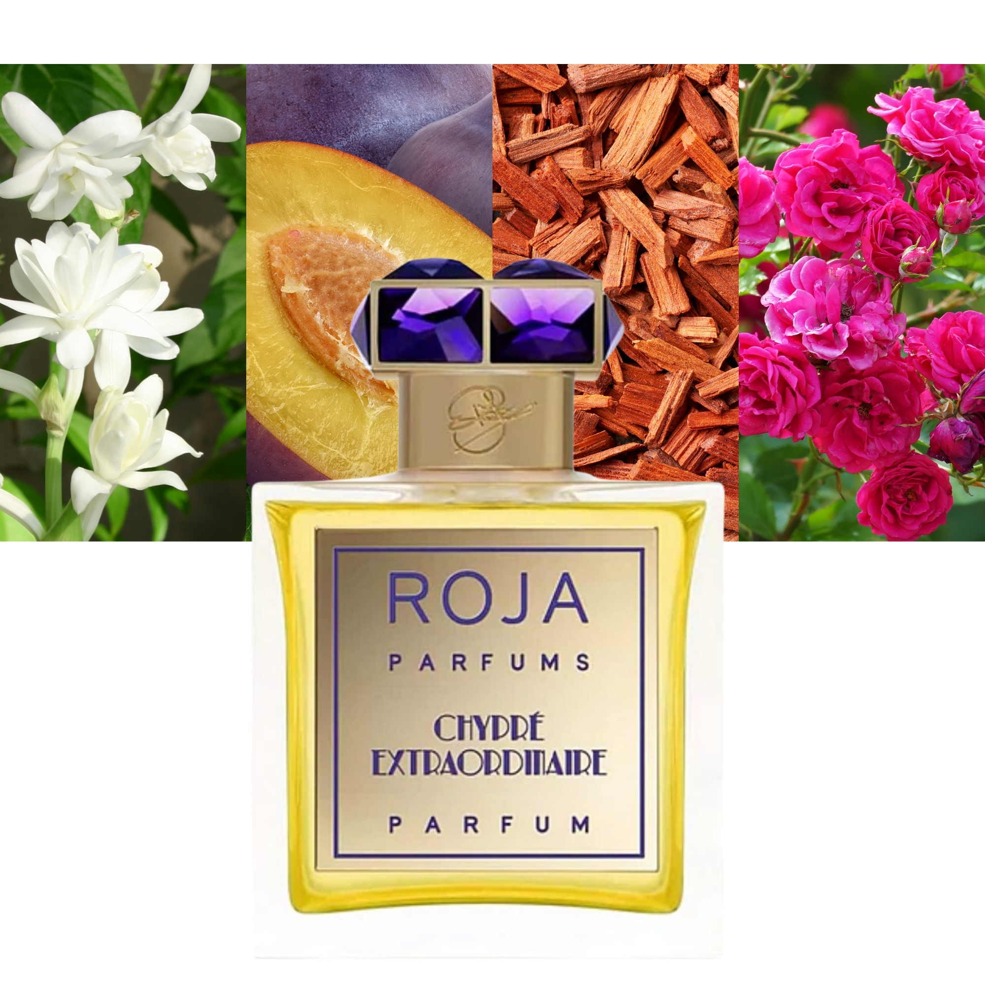 Chypré Extraordinaire