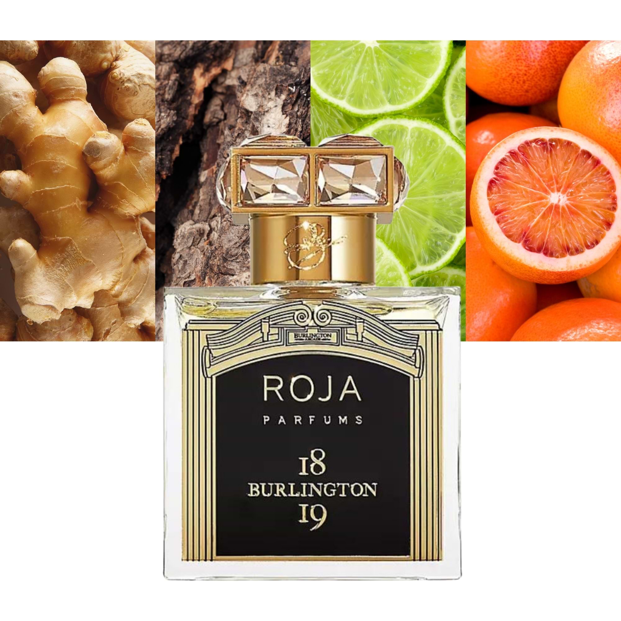 Experience the Legacy of Roja Parfums Burlington 1819