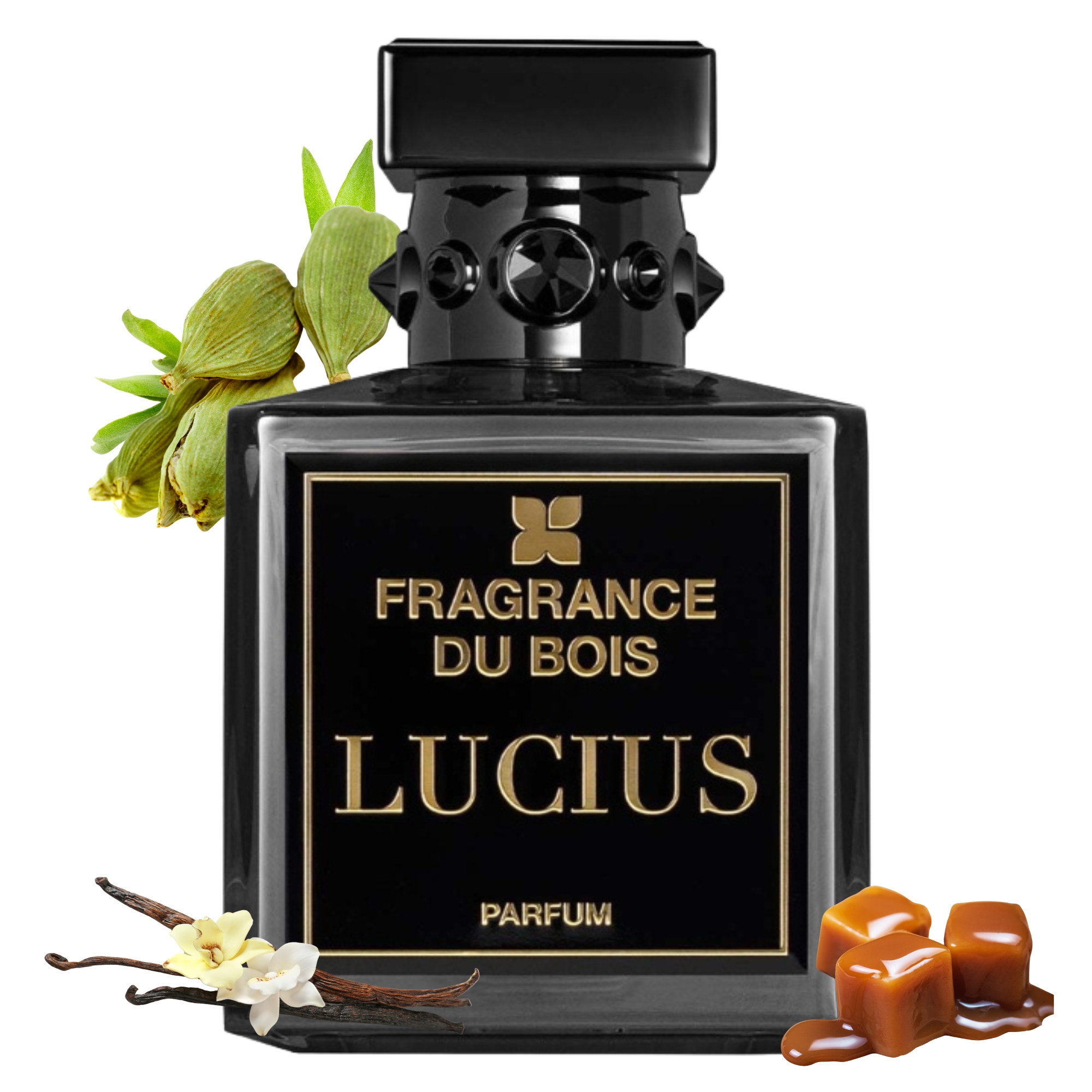 Lucius