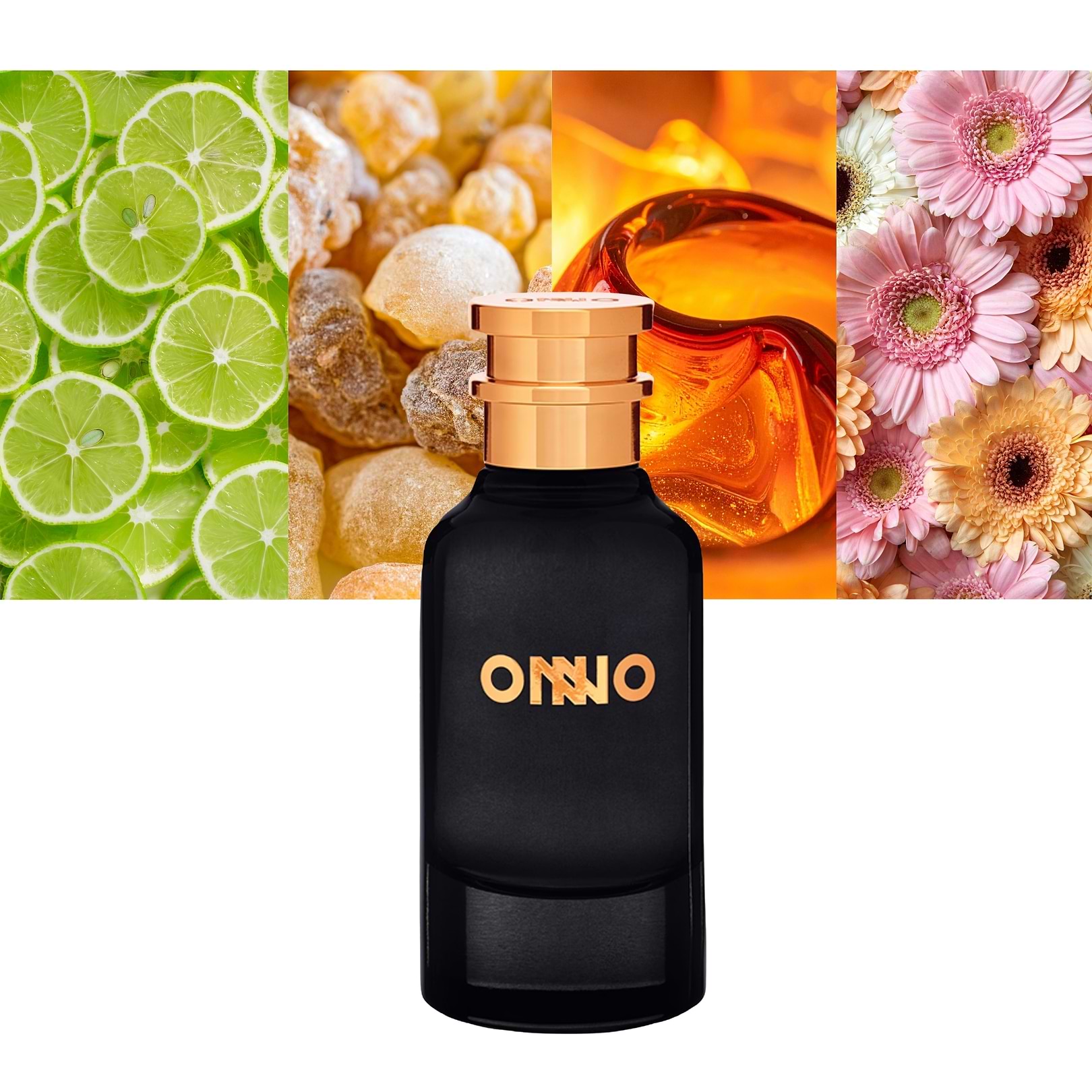 Onno Number ONNO X 55