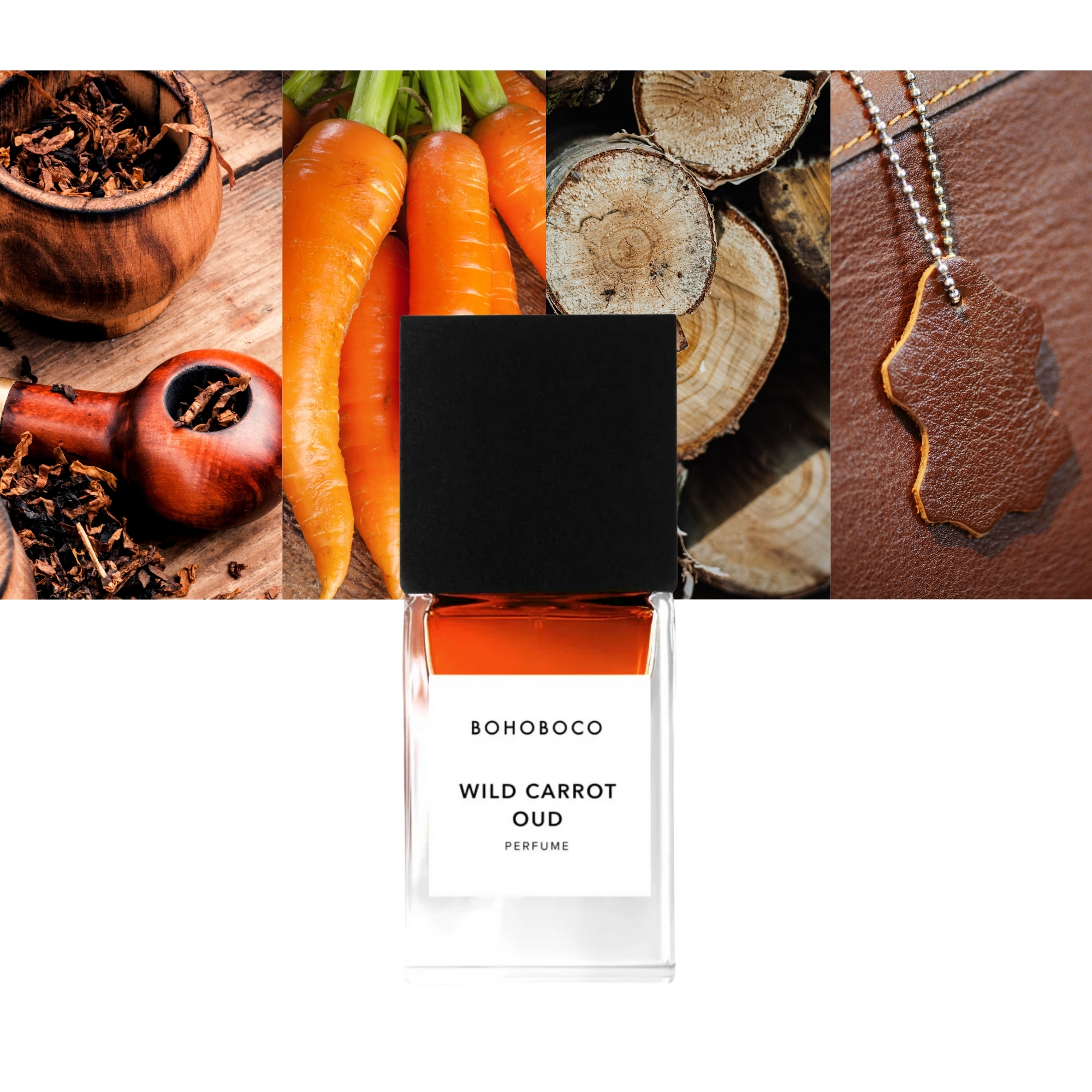 Wild Carrot Oud