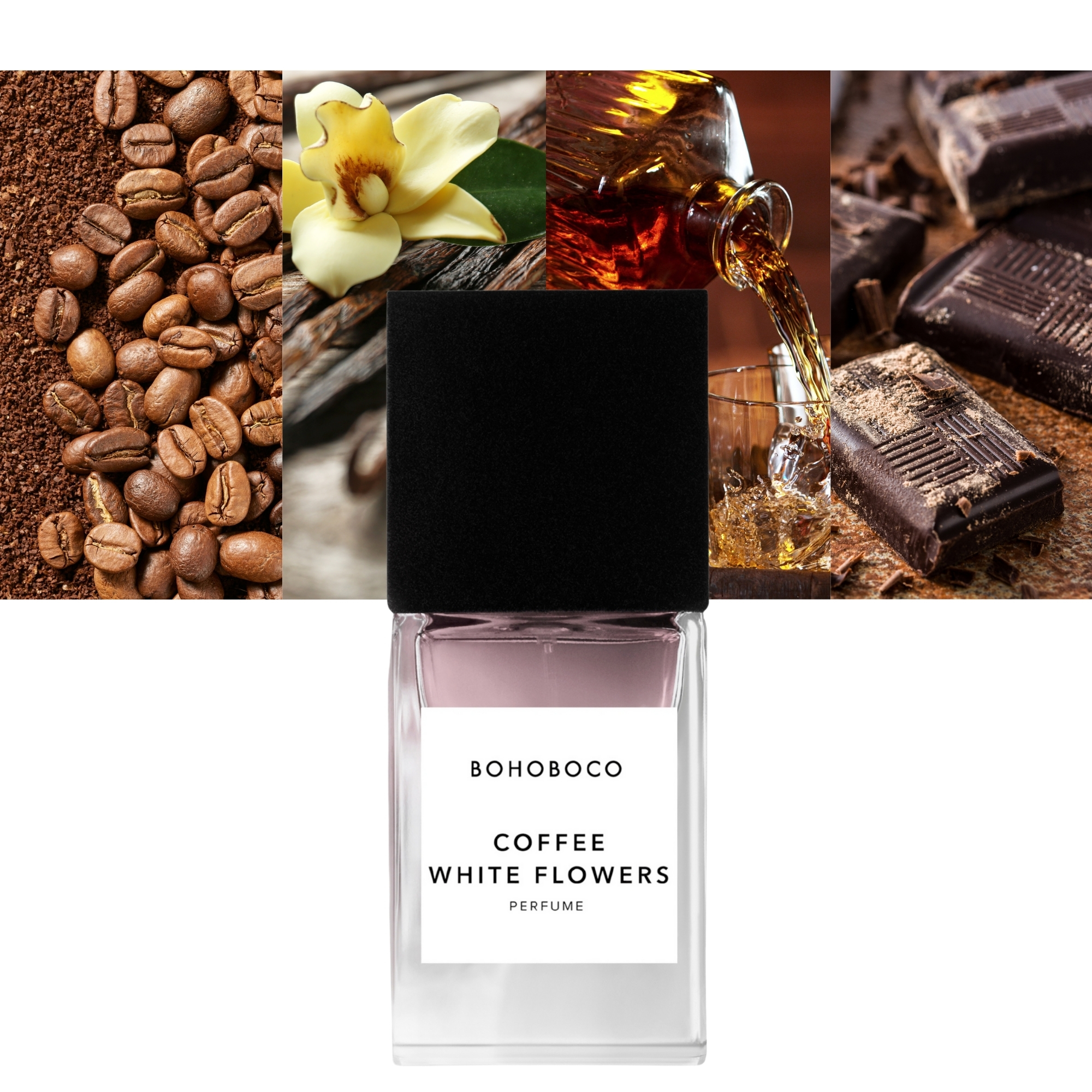 Coffee White Flowers