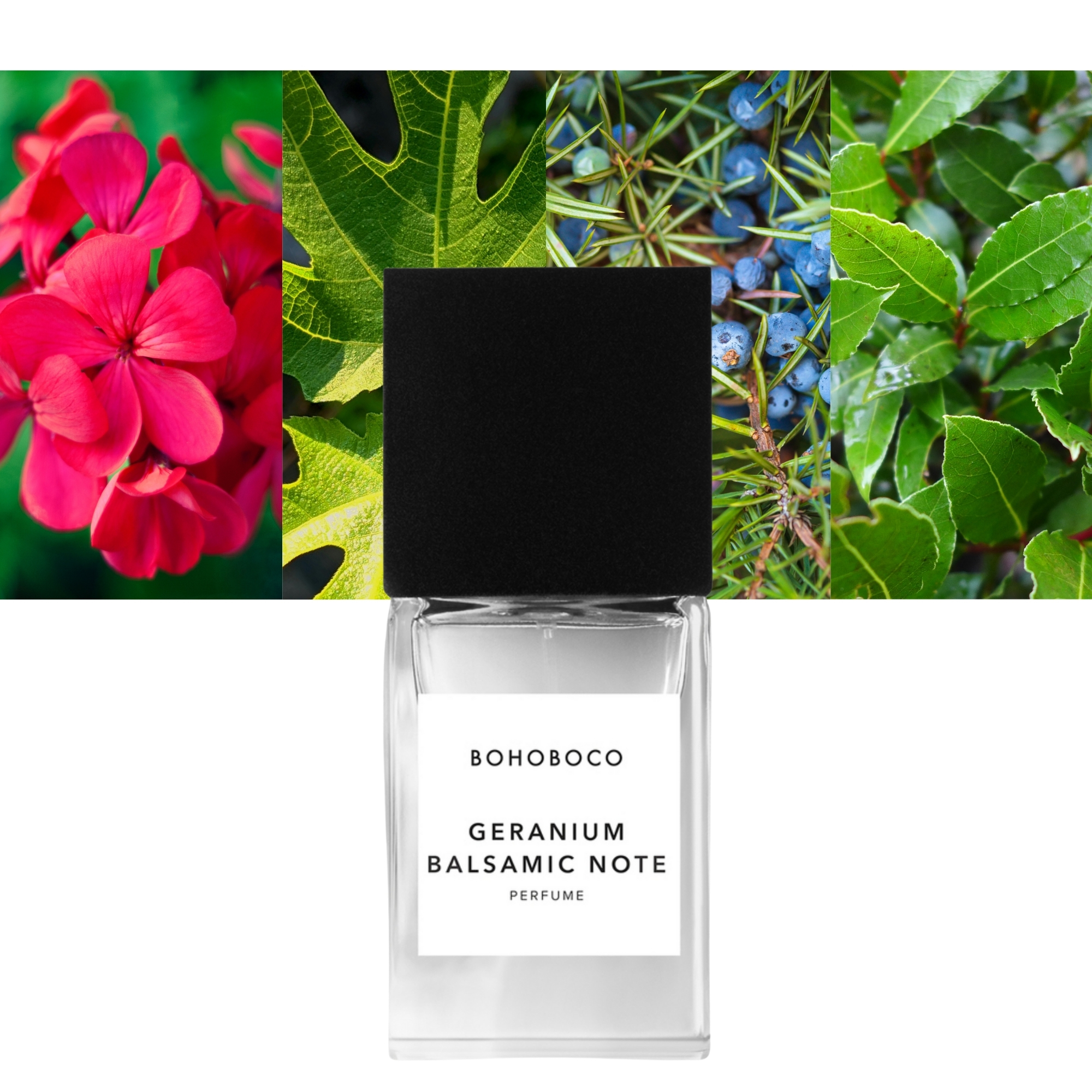 Geranium Balsamic Note