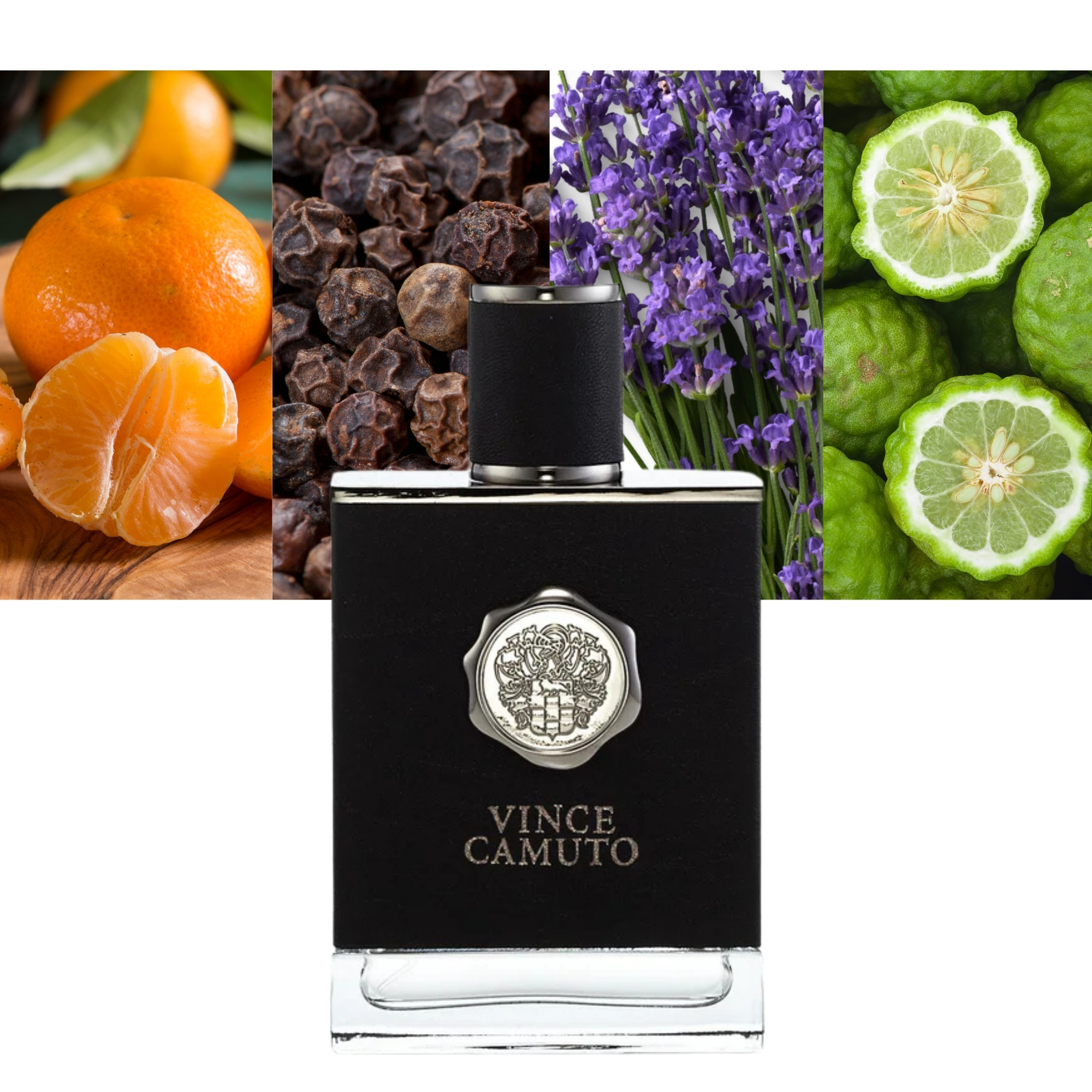 Vince Camuto for Him