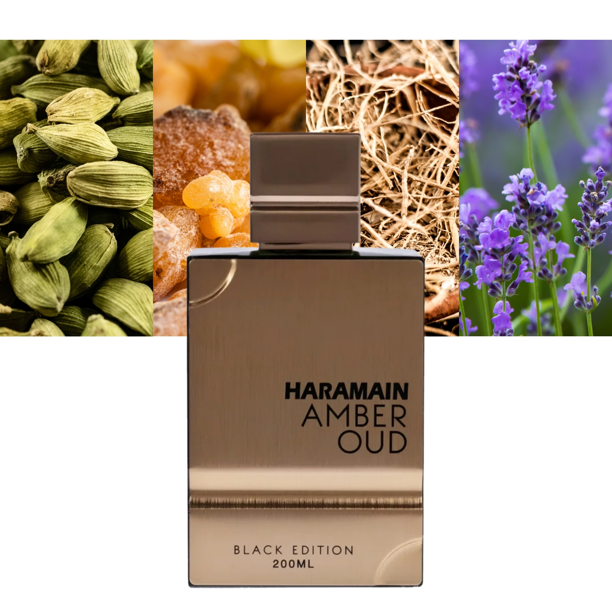 Amber Oud Black Edition