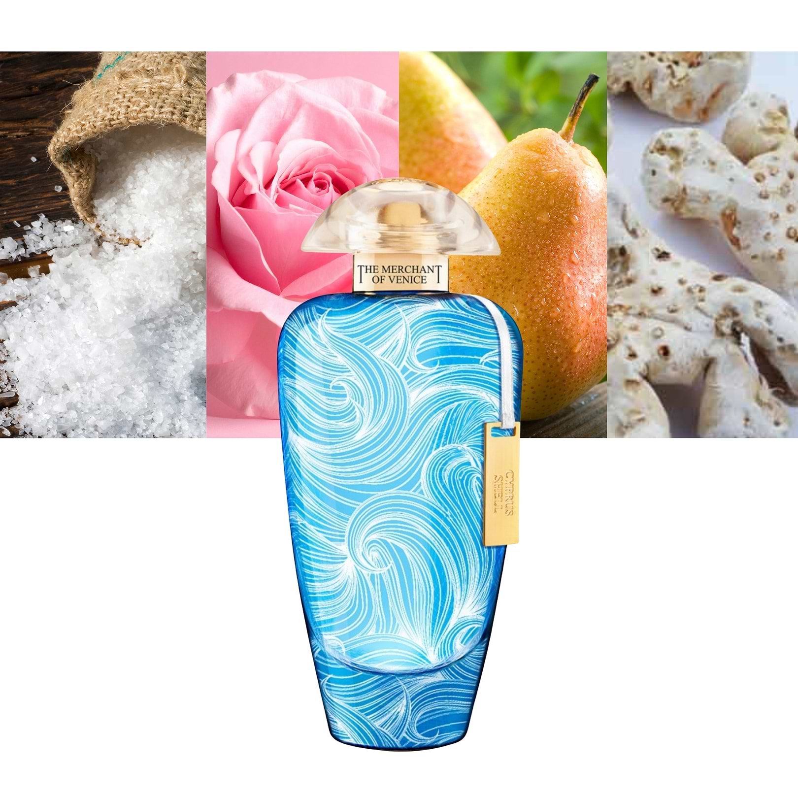 Cyprus Shell Perfume The Merchant of Venice Cyprus Shell Eau De Parfum Unisex 3.4 oz / 100 ...