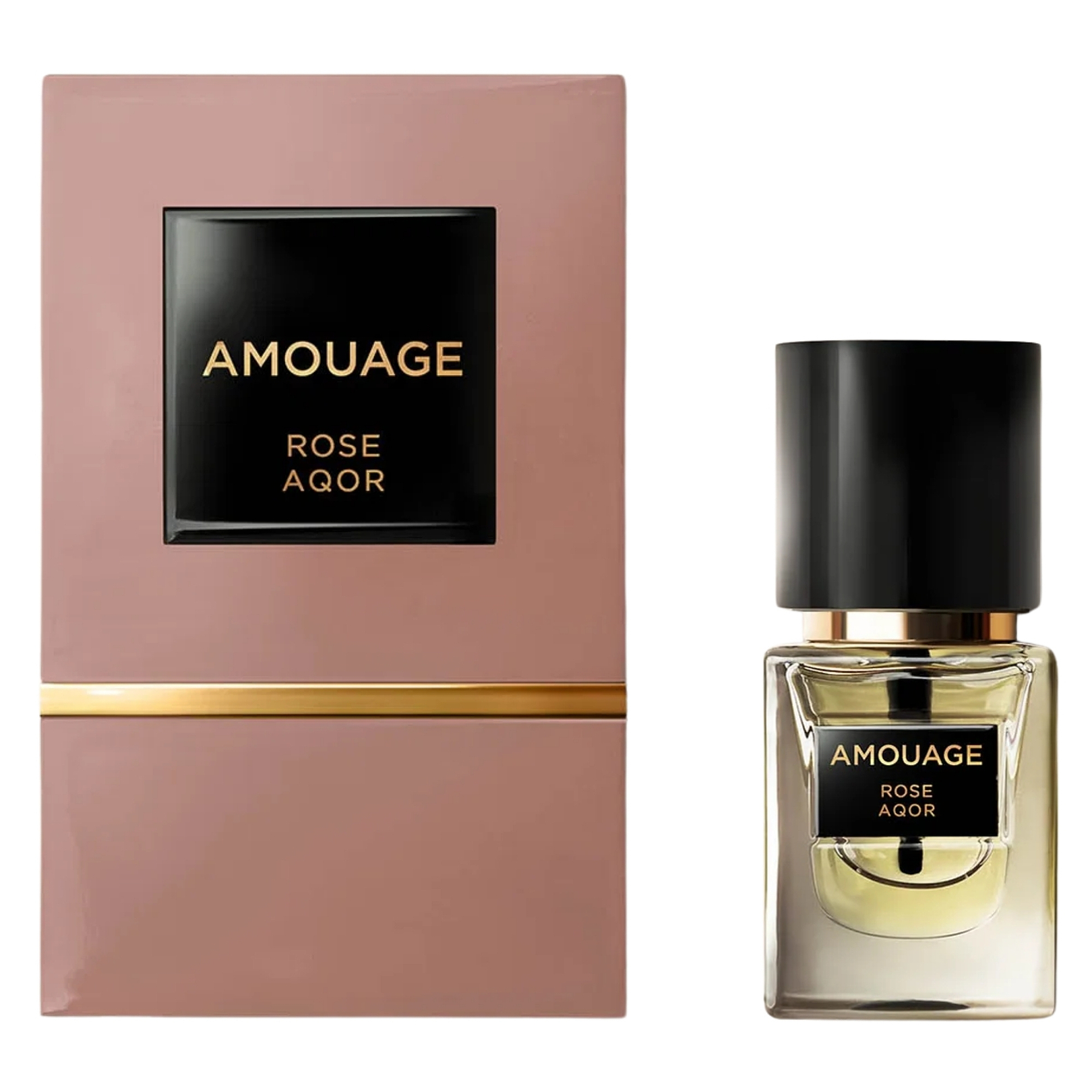 Rose Aqor 