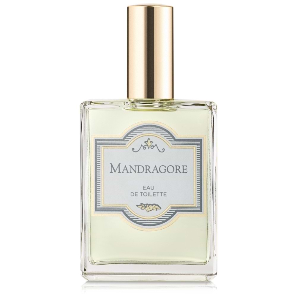 Mandragore