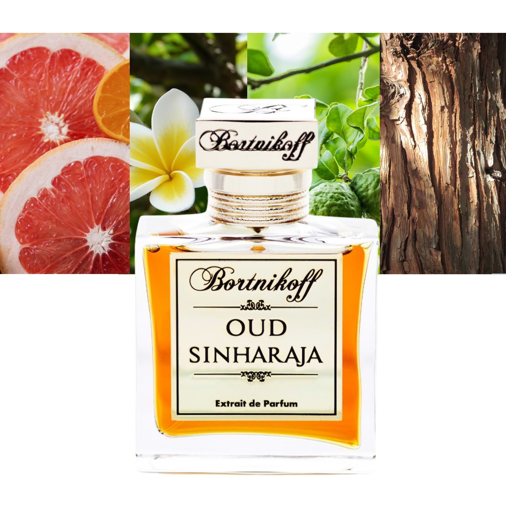 Oud Sinharaja