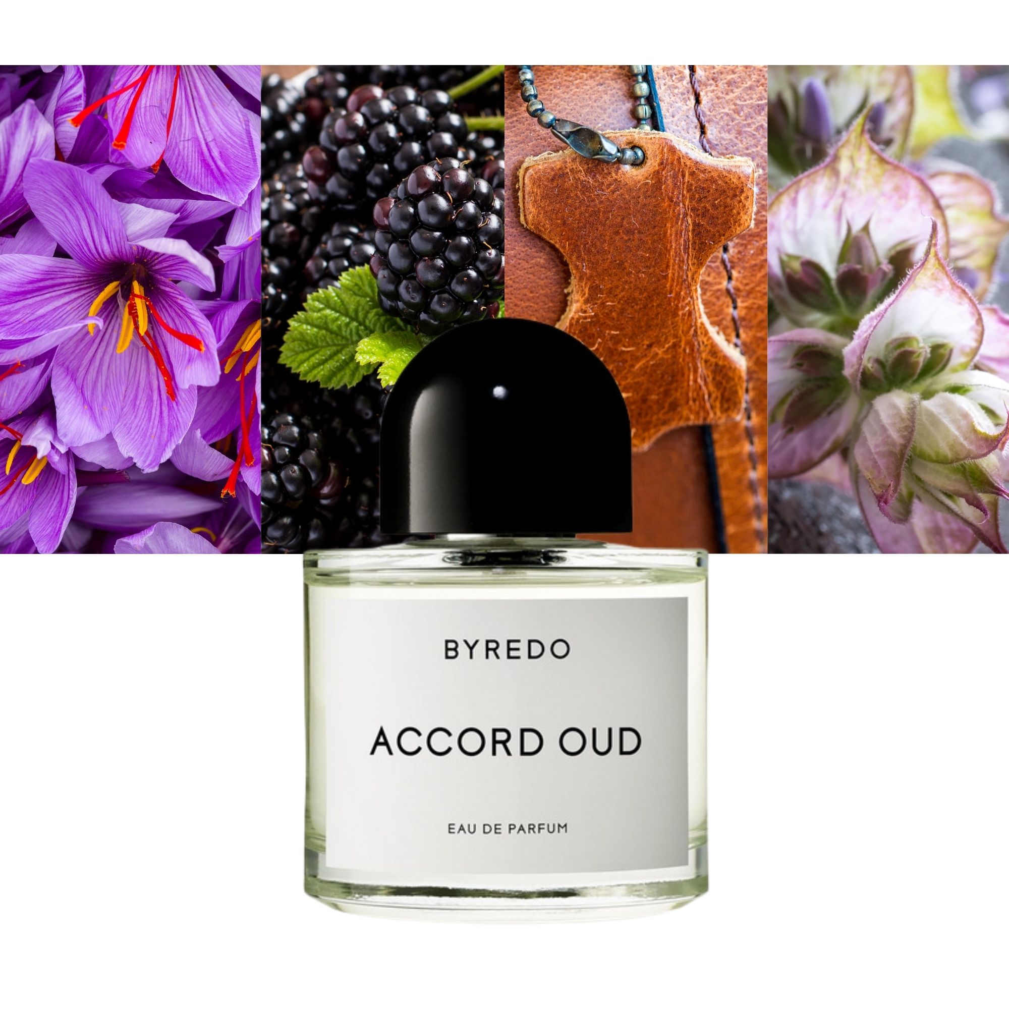 Accord OUD