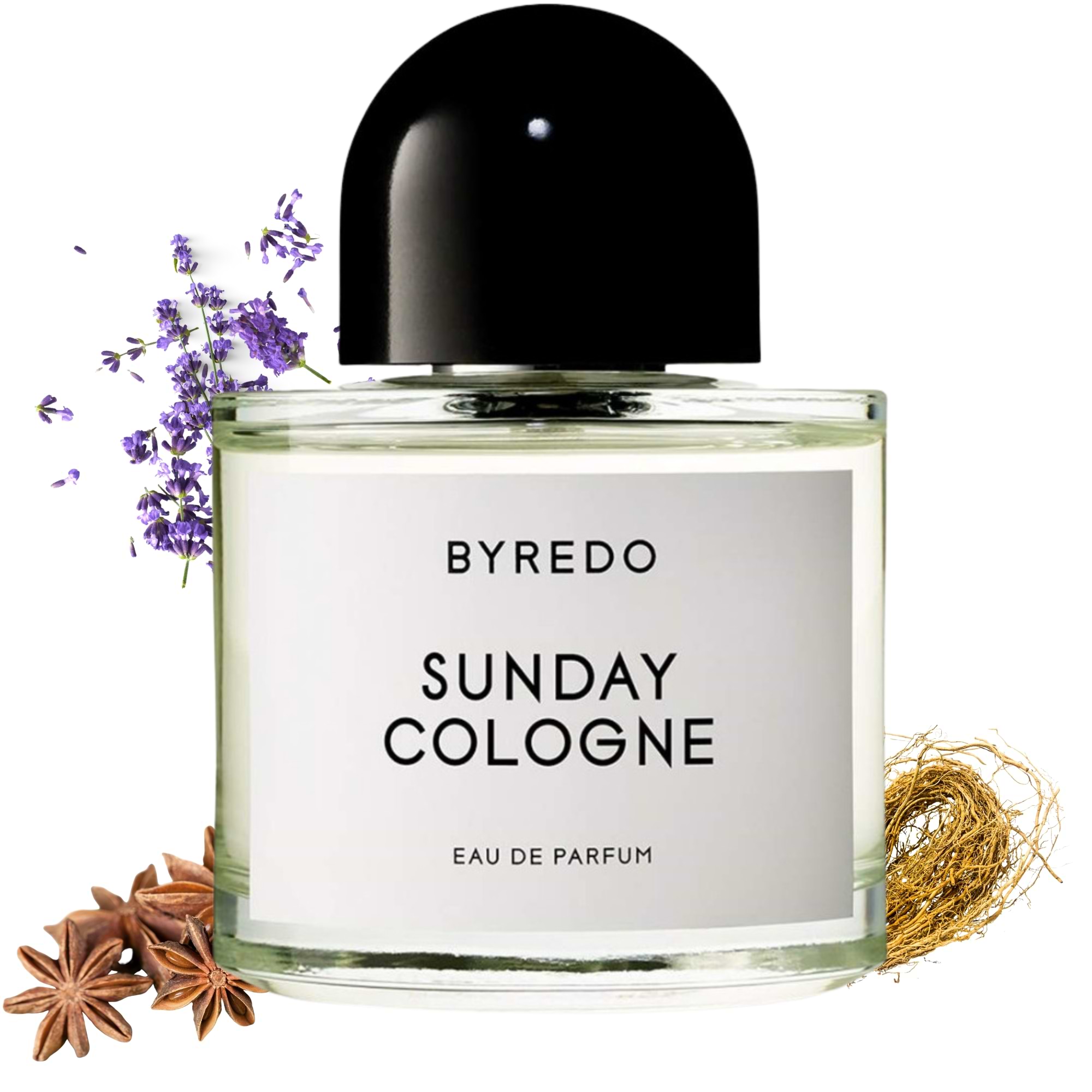 Sunday Cologne